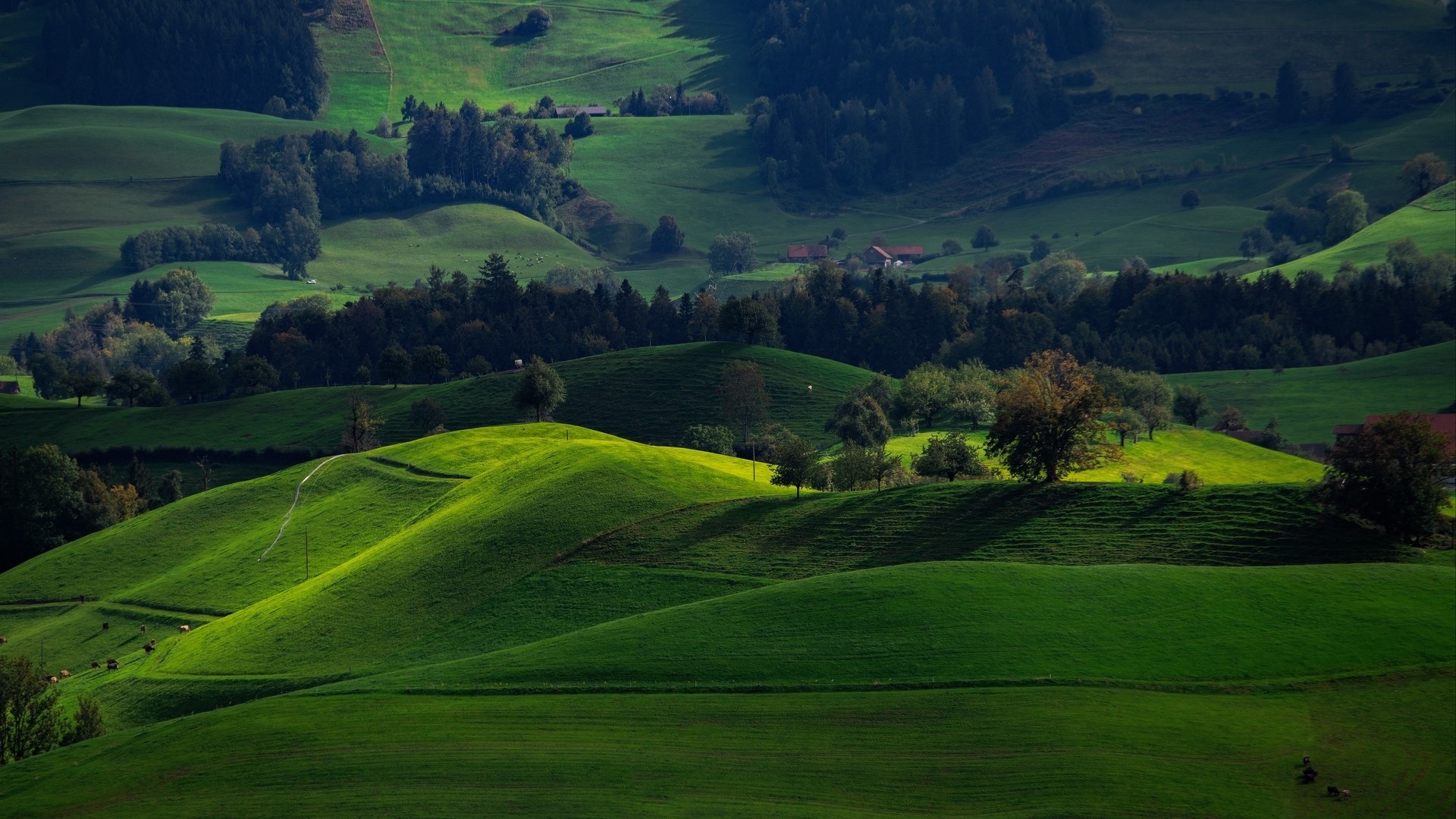 Rolling green hills and forests in Switzerland HD Wallpaper