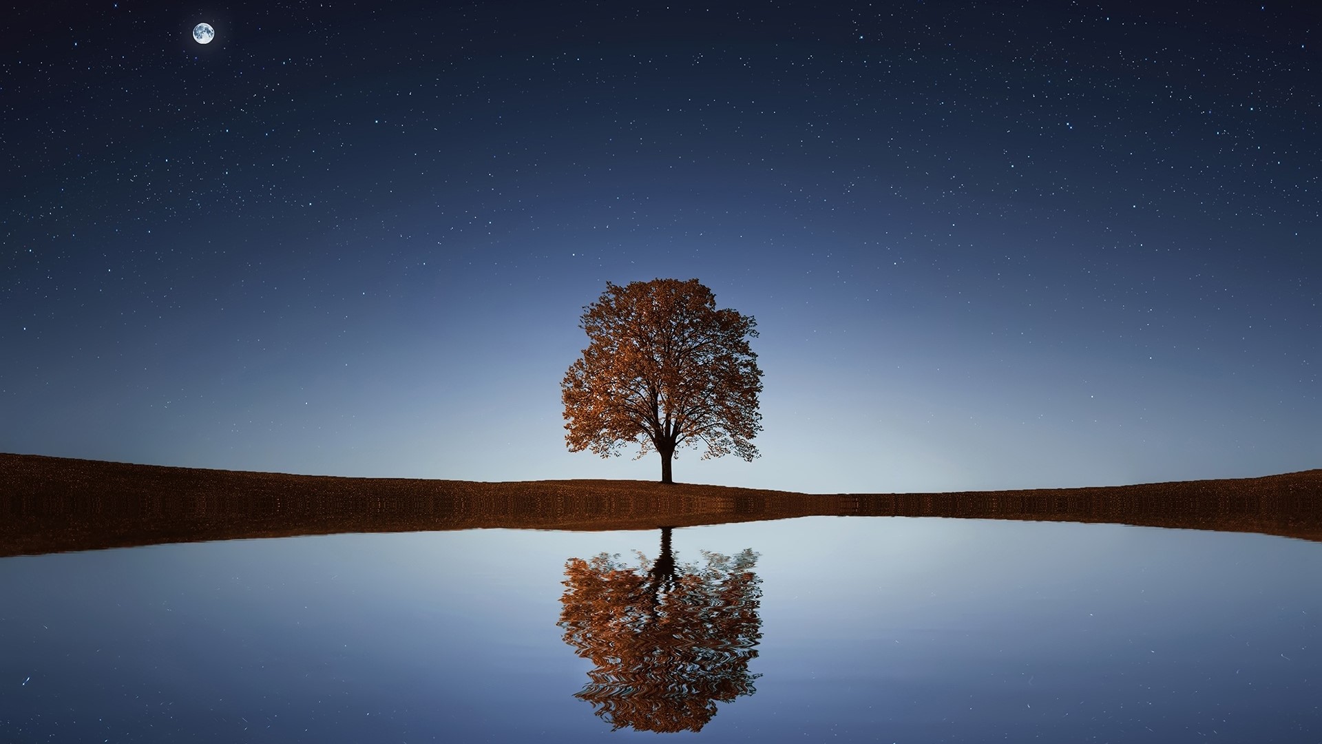 Tree reflecting in water under starry sky HD Wallpaper