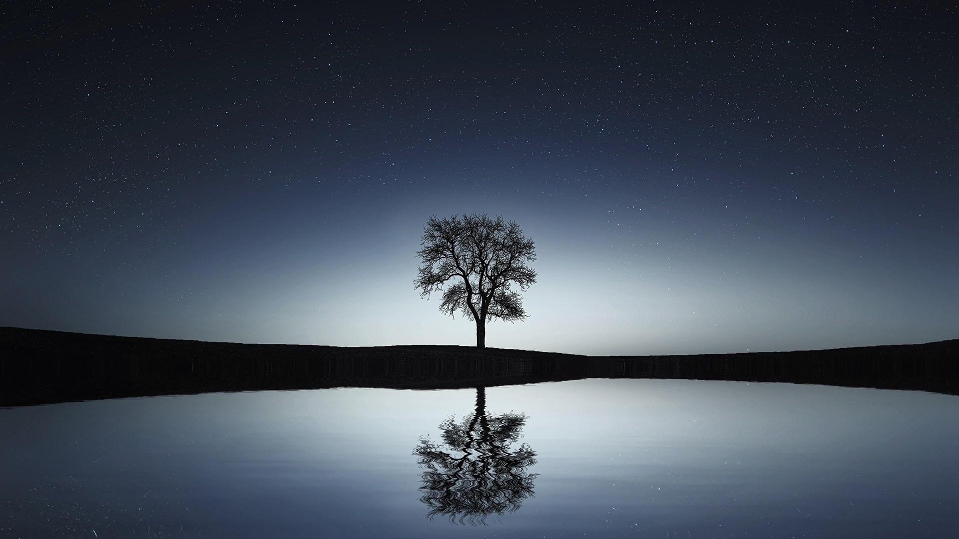 Silhouette of a tree reflected in water under a starry sky HD Wallpaper