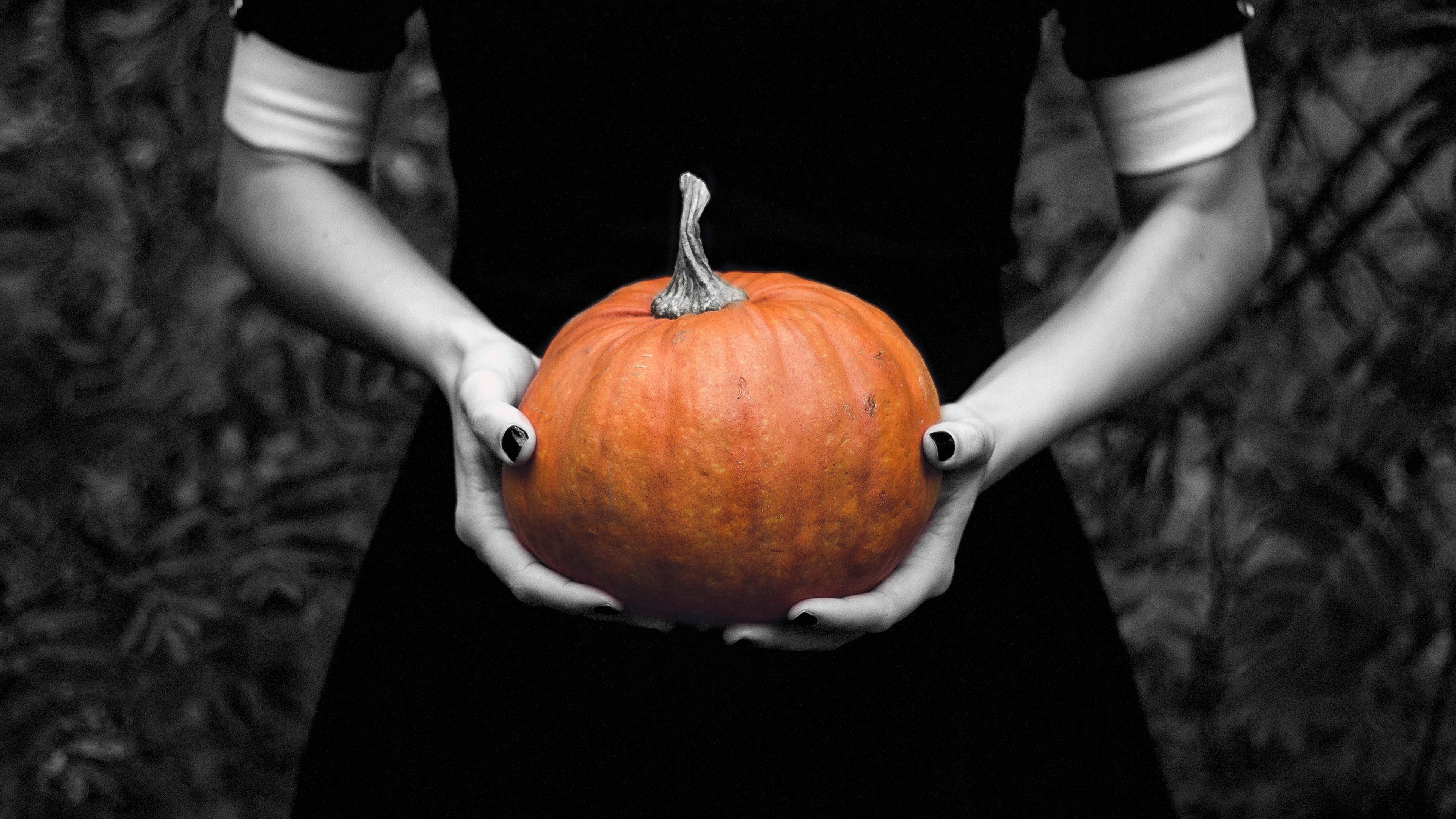 4K Halloween Pumpkin HD Wallpaper