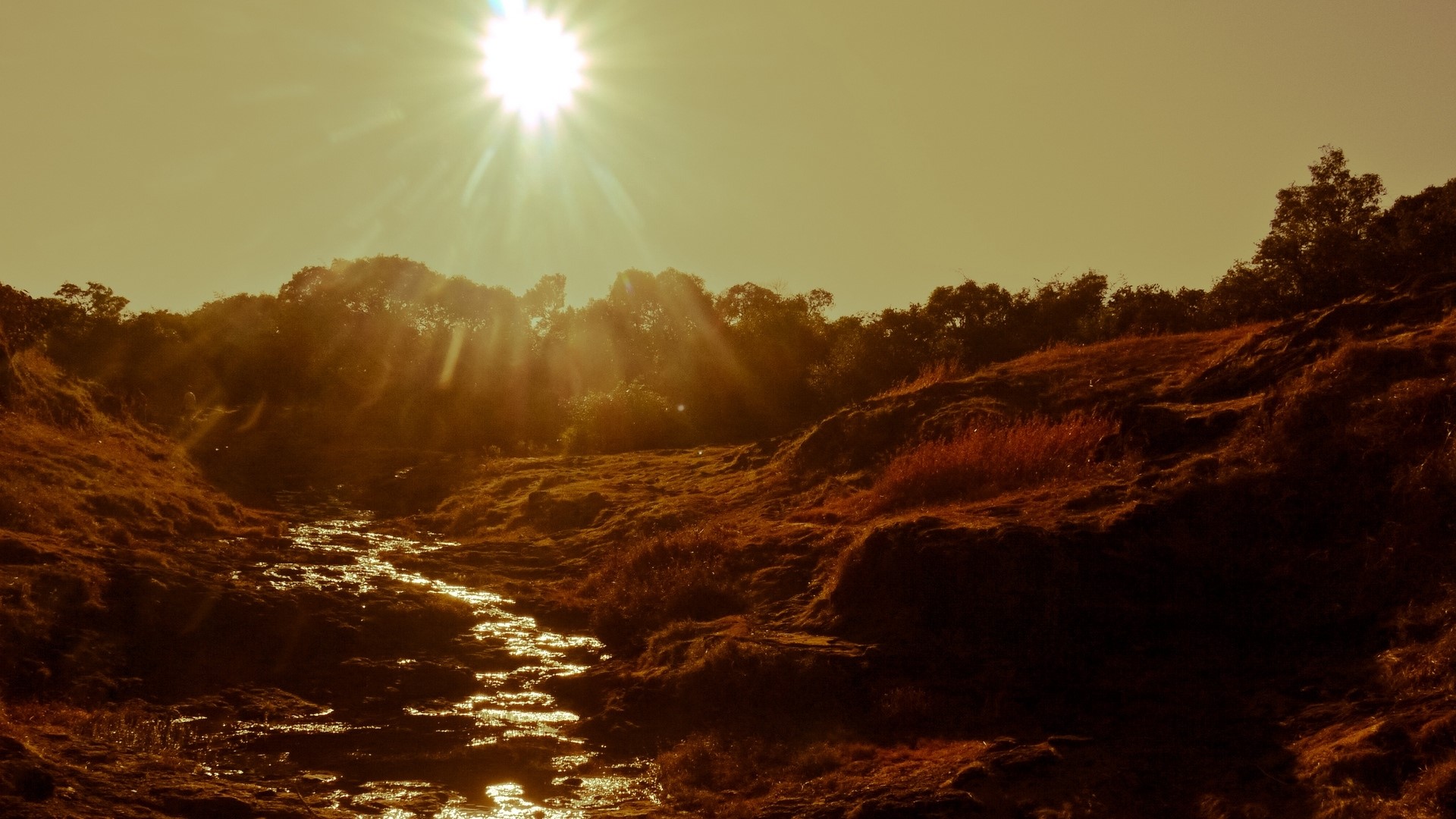 Sunlight streams through trees onto a rocky creek bed HD Wallpaper