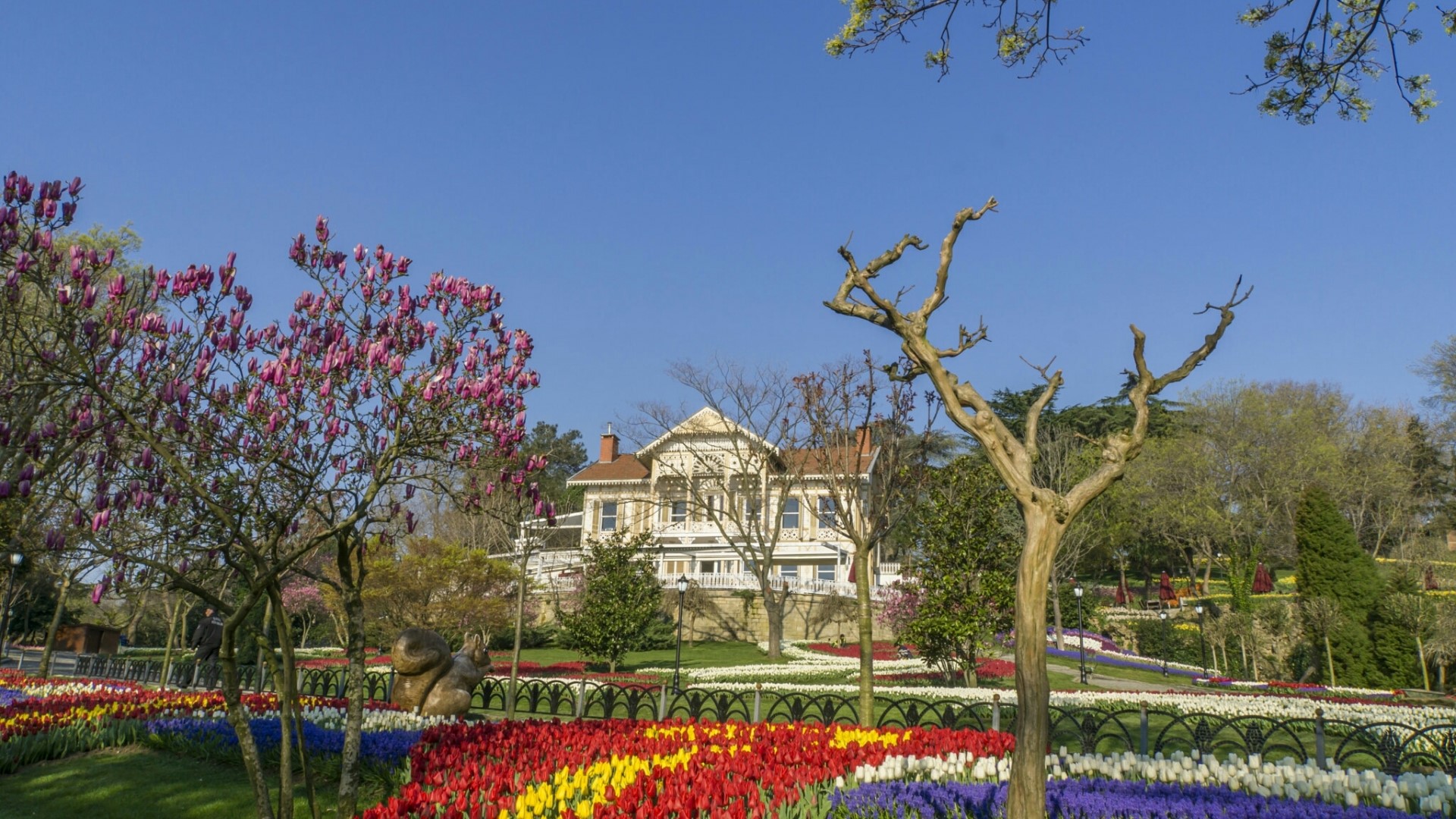 Springtime park with tulips and a mansion HD Wallpaper