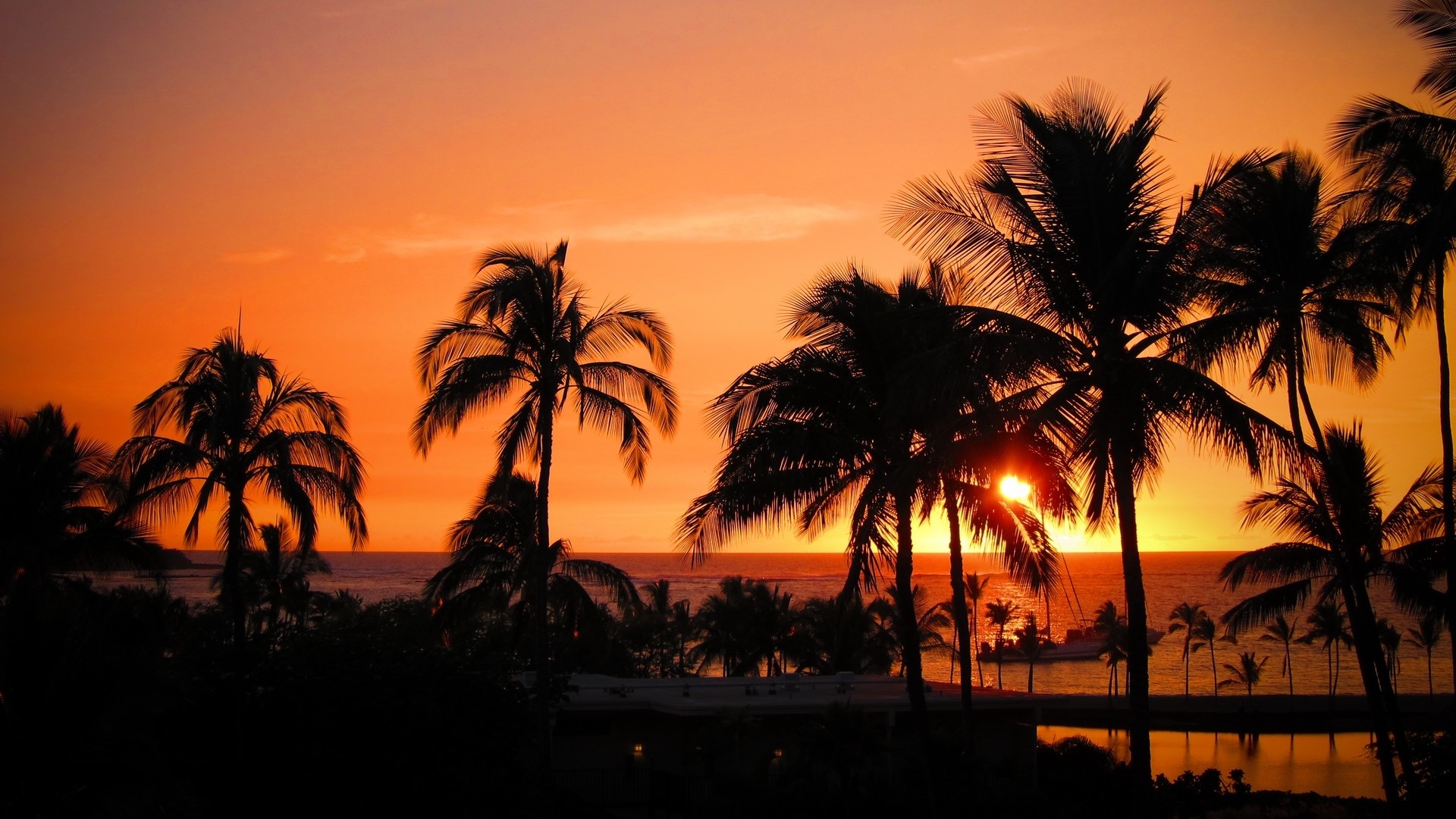 Sunset over the ocean with palm trees in Hawaii HD Wallpaper
