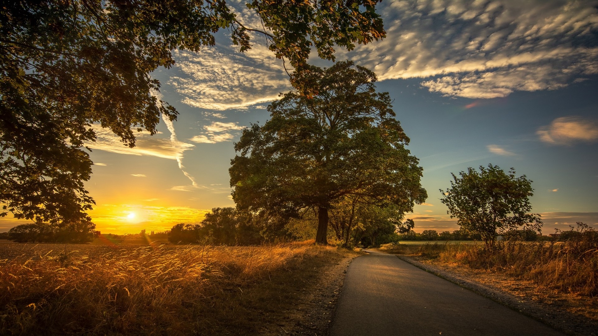 Sunset over a country road with trees HD Wallpaper