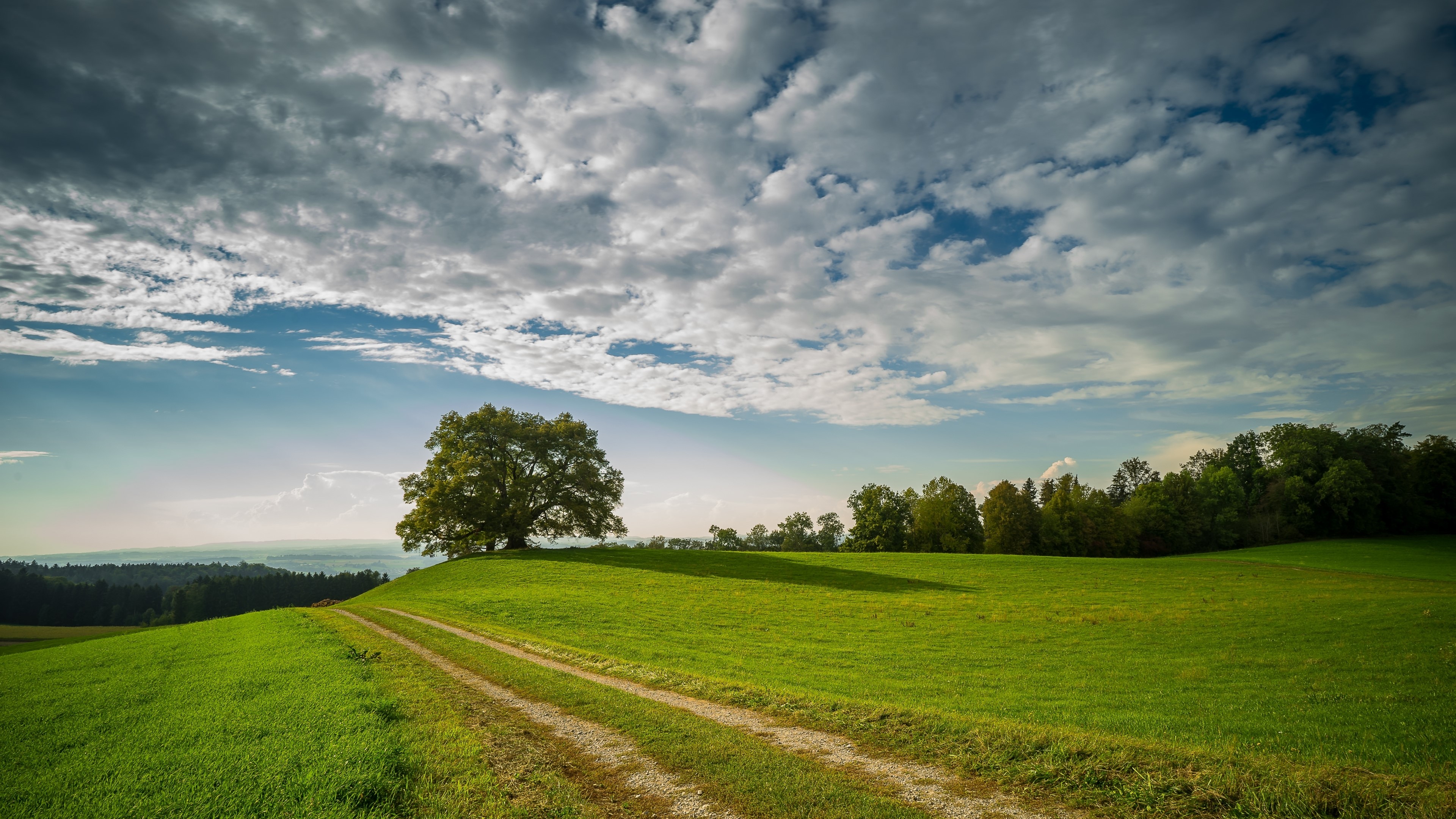 4K Nature Landscape with Tree and Clouds HD Wallpaper