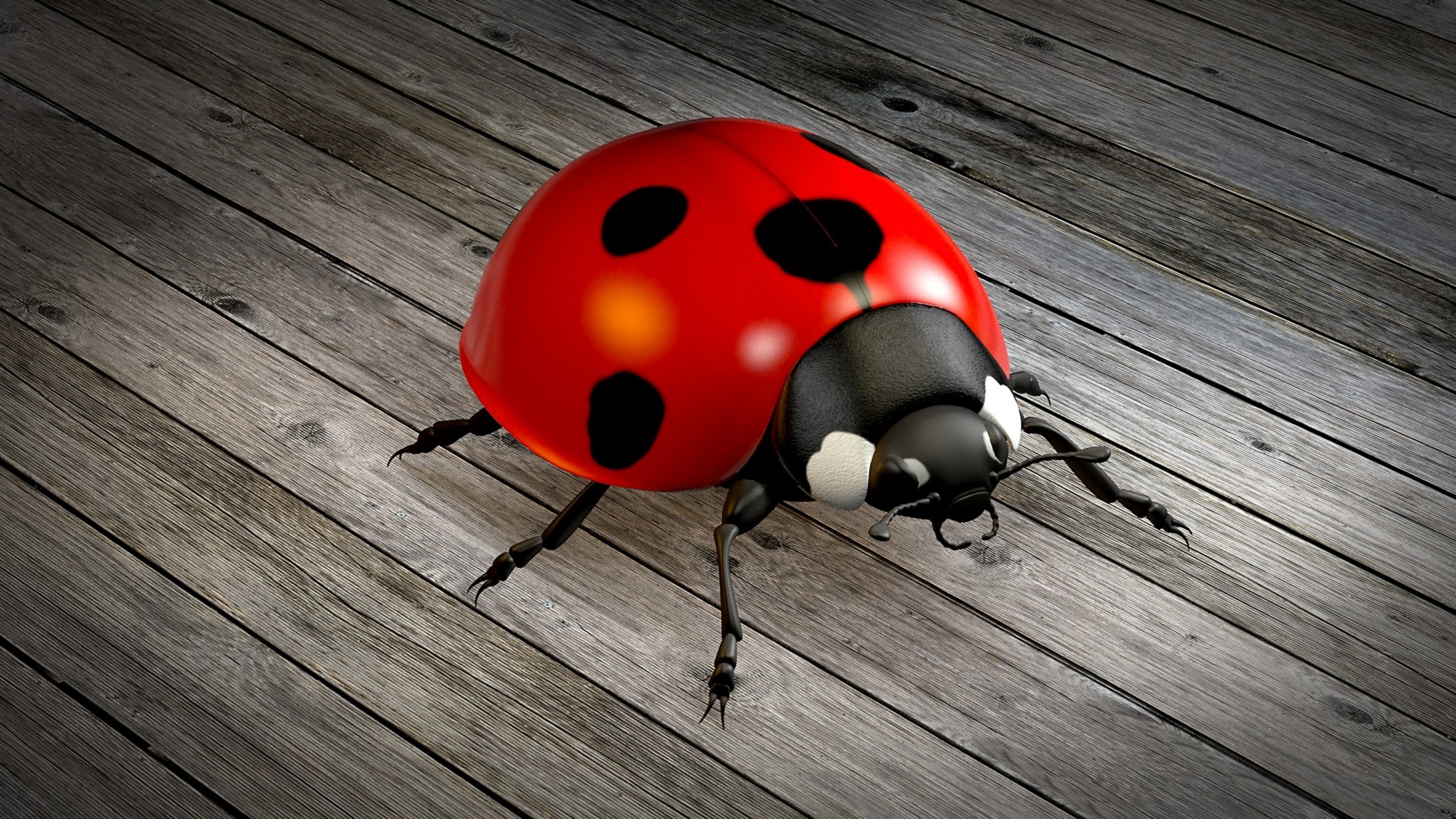 3D rendered ladybug on wooden planks HD Wallpaper