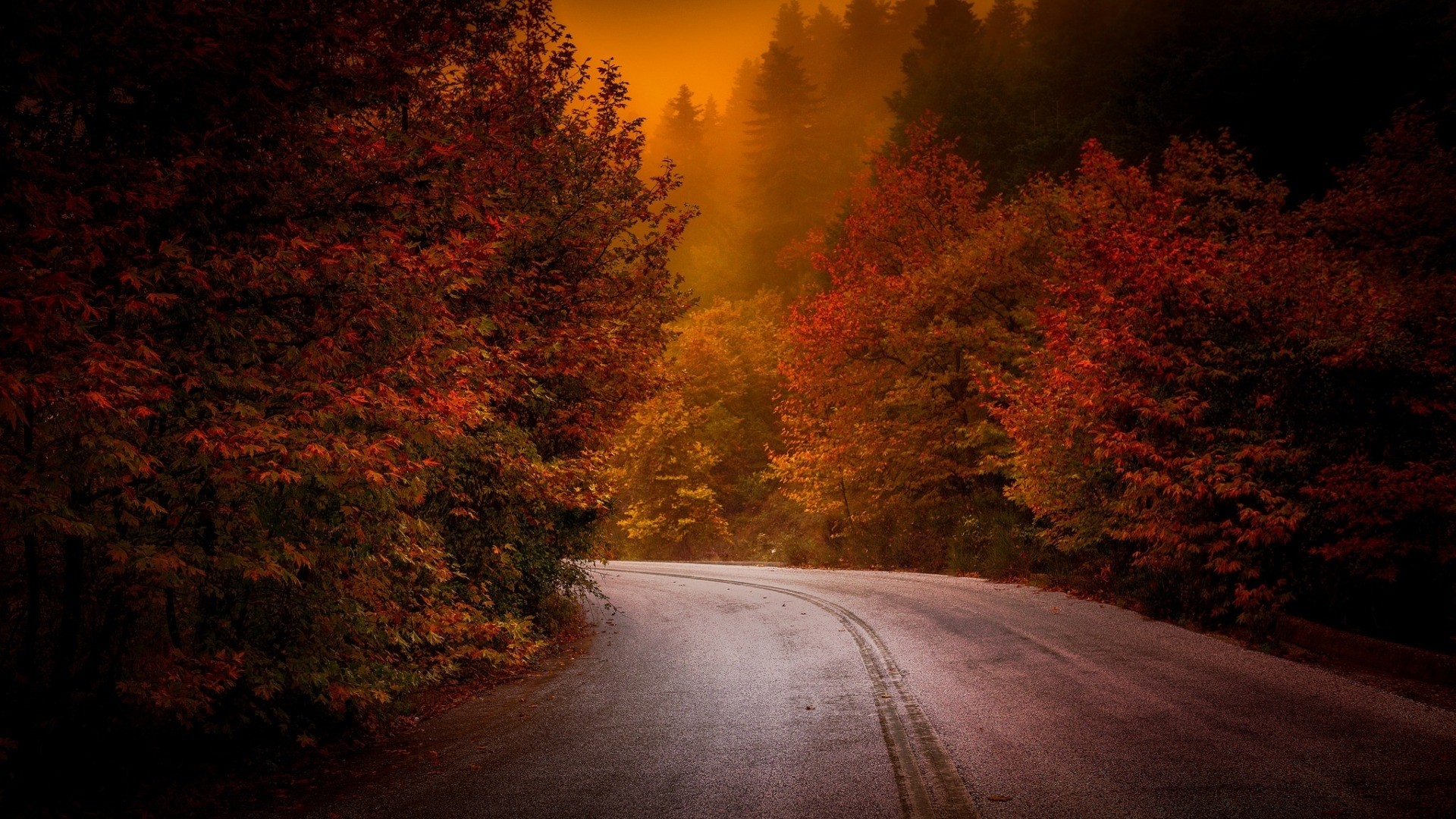 Road through autumn forest with orange sky HD Wallpaper