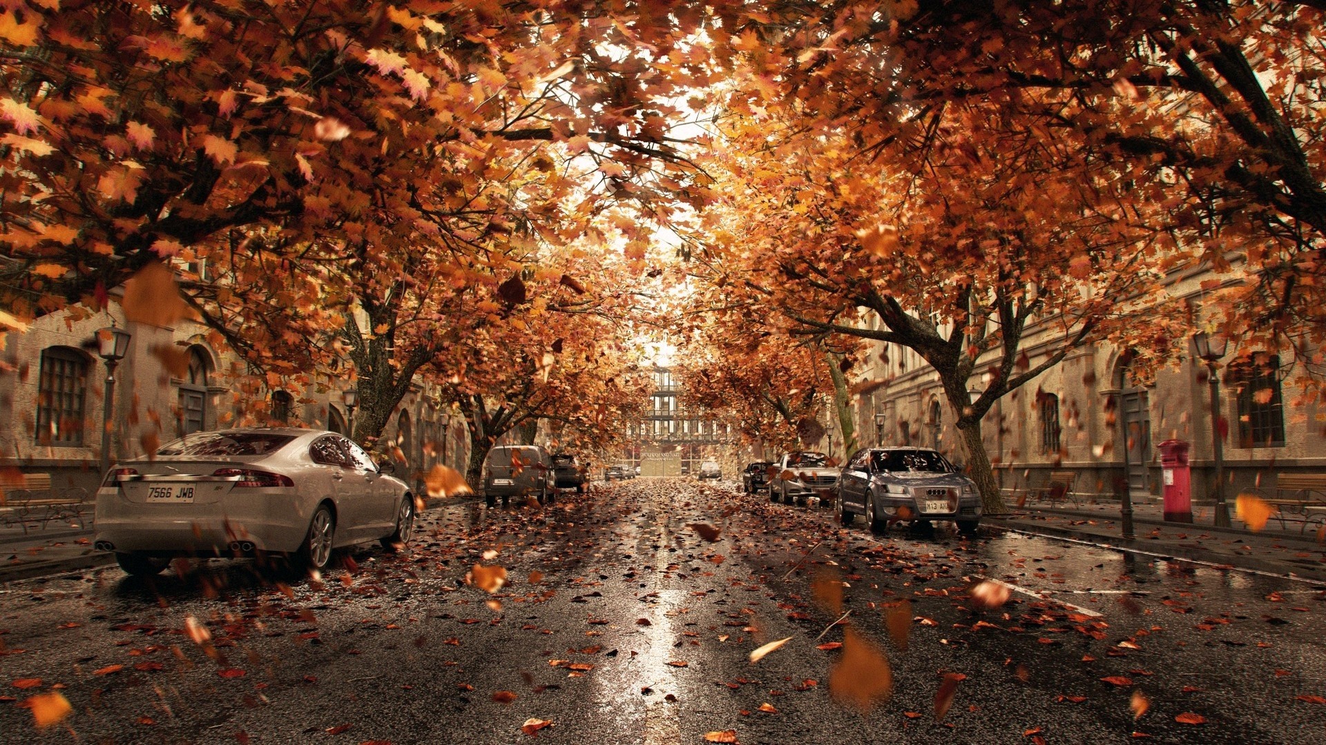 Autumn street with falling leaves and cars HD Wallpaper
