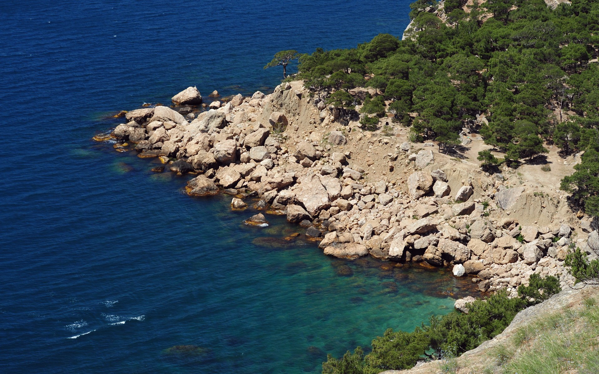 Rocky coastline with clear blue water and pine trees HD Wallpaper
