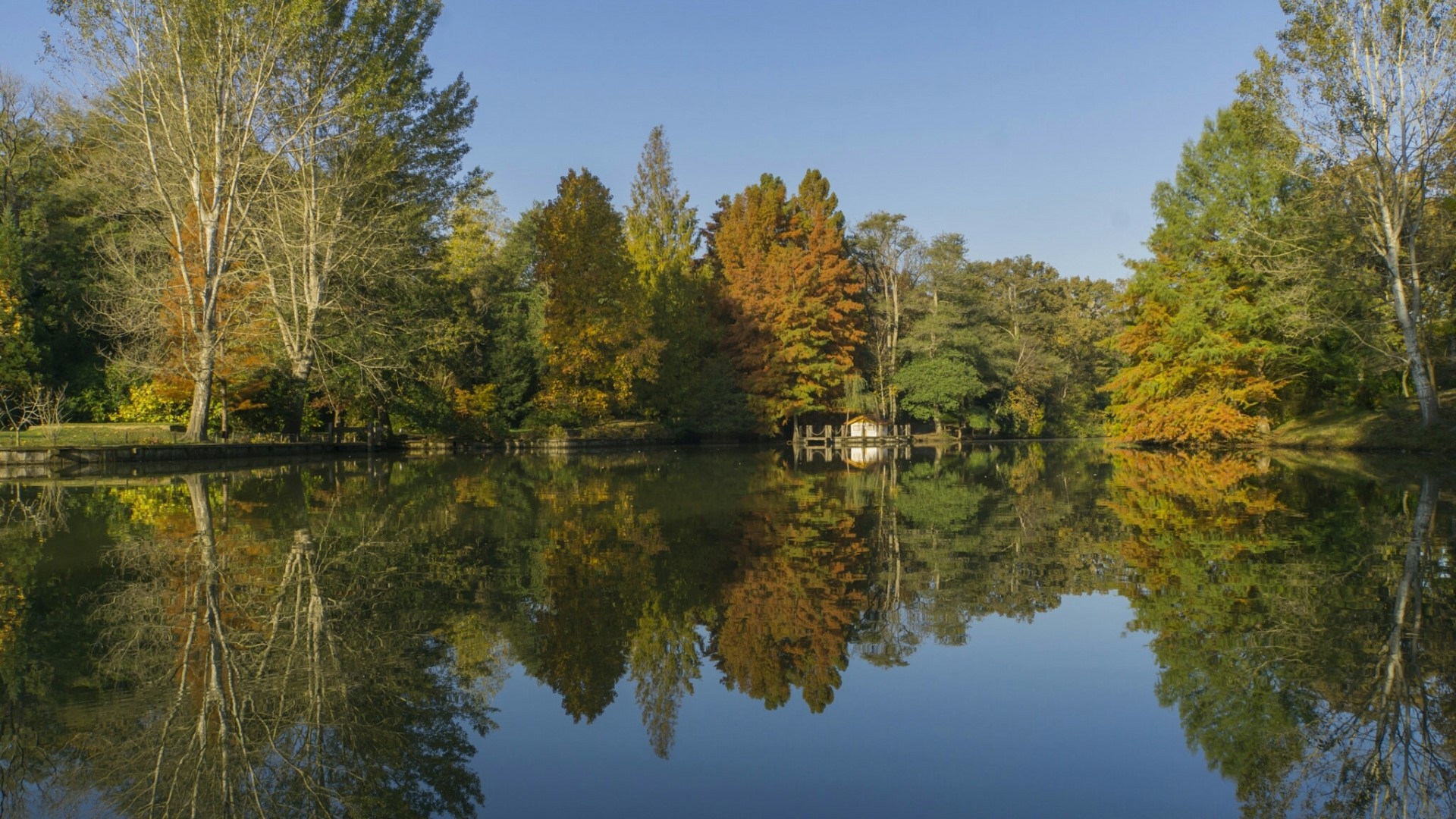 Autumn landscape with trees reflecting in a lake HD Wallpaper
