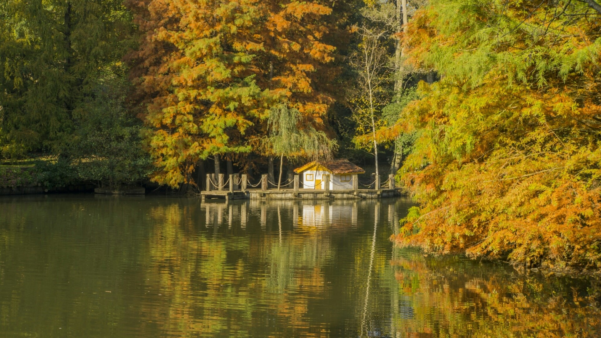 Autumn landscape with a small house on a lake HD Wallpaper
