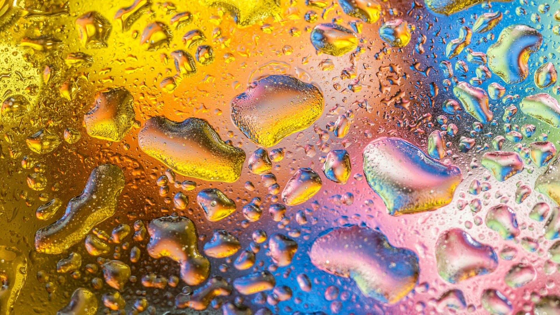 Abstract colorful water drops on a surface HD Wallpaper