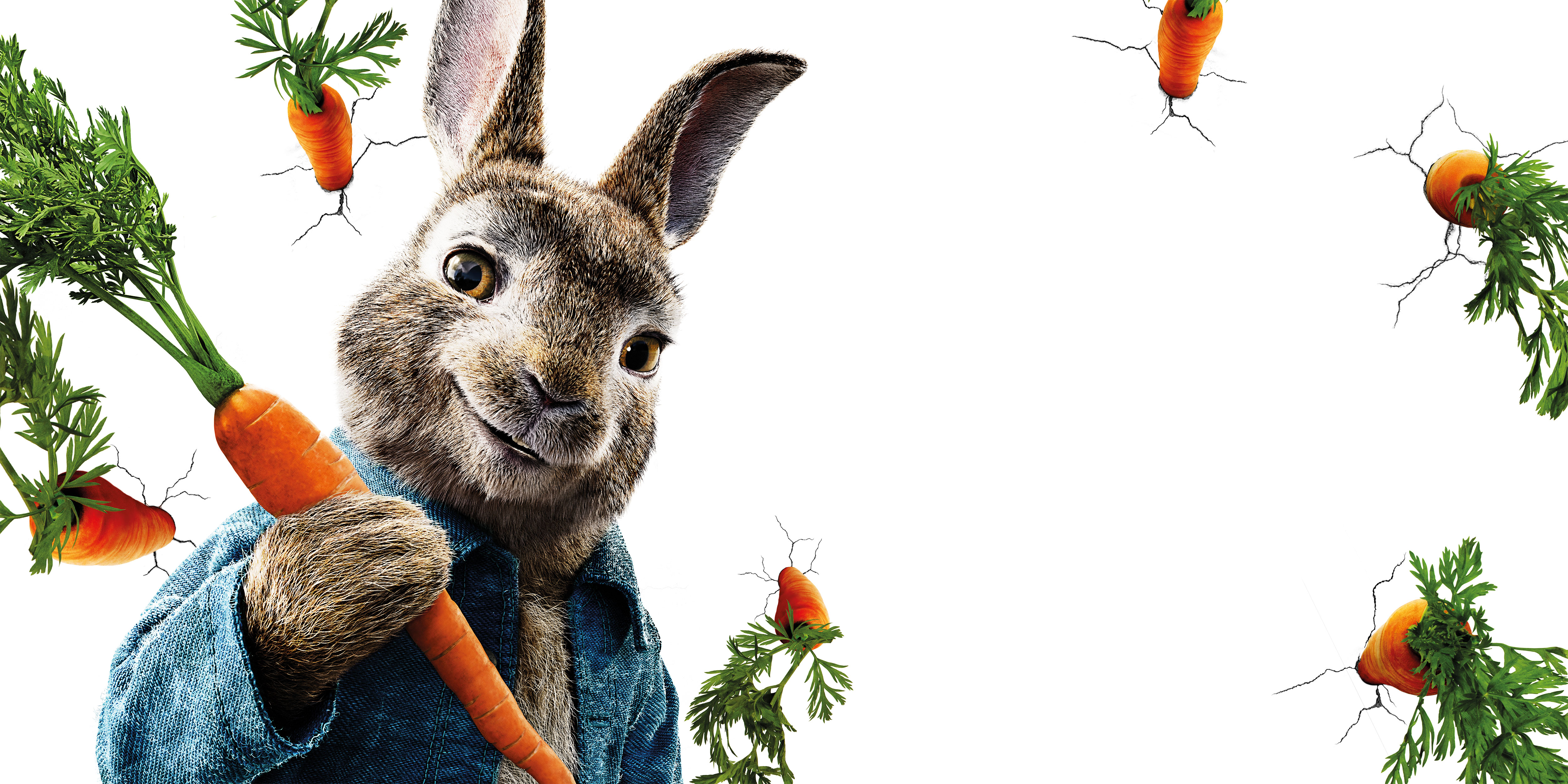 Peter Rabbit holding a carrot HD Wallpaper