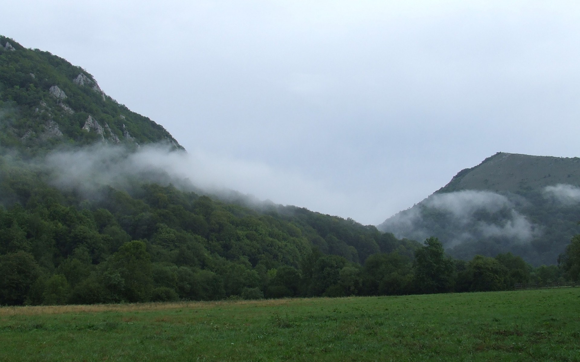 Misty mountains and green forest with a meadow HD Wallpaper
