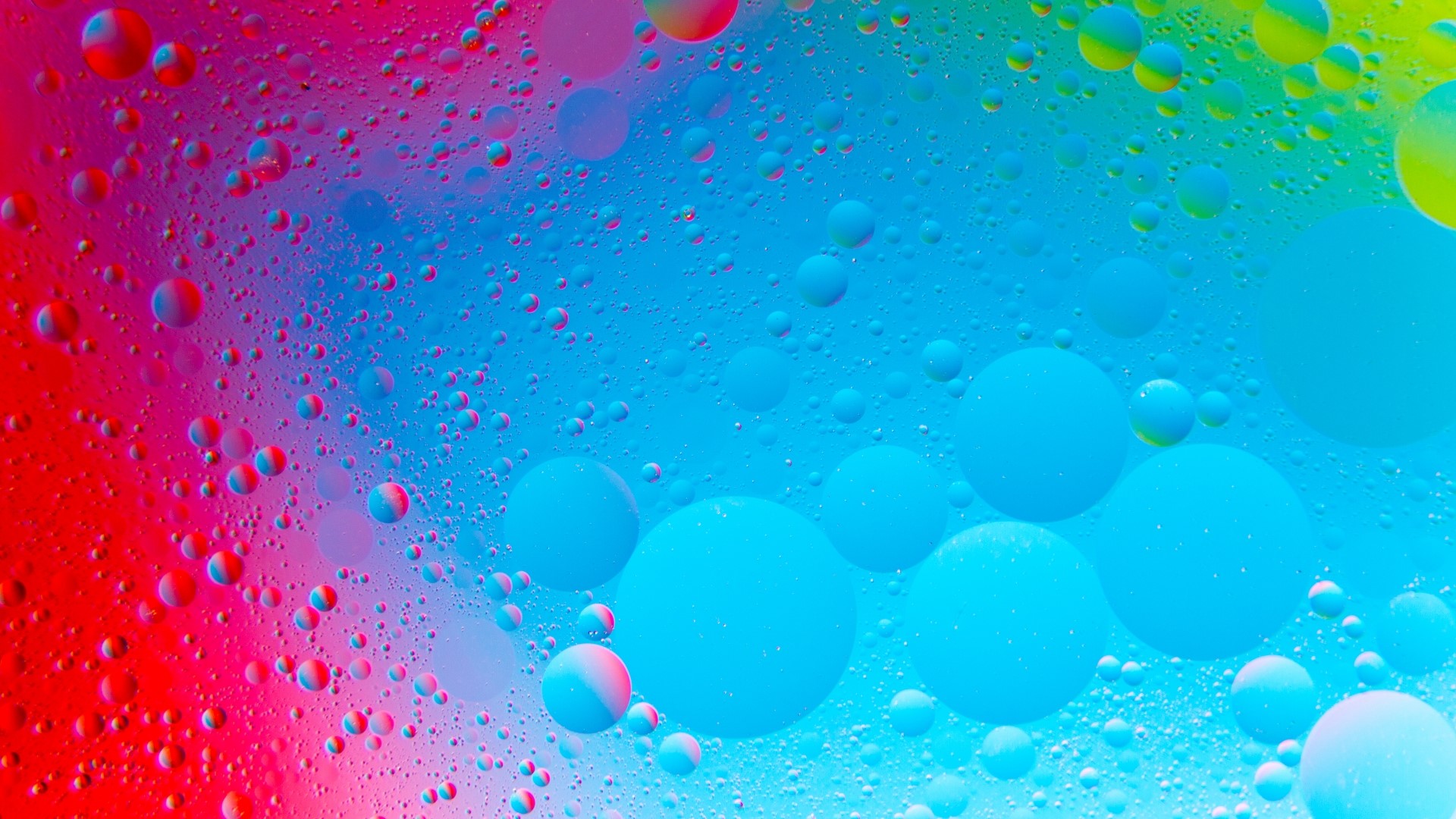 Colorful oil and water bubbles abstract background HD Wallpaper