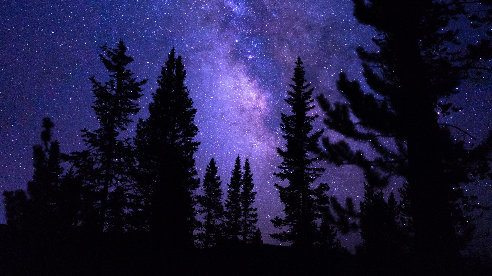 Milky Way Galaxy over Pine Forest HD Wallpaper