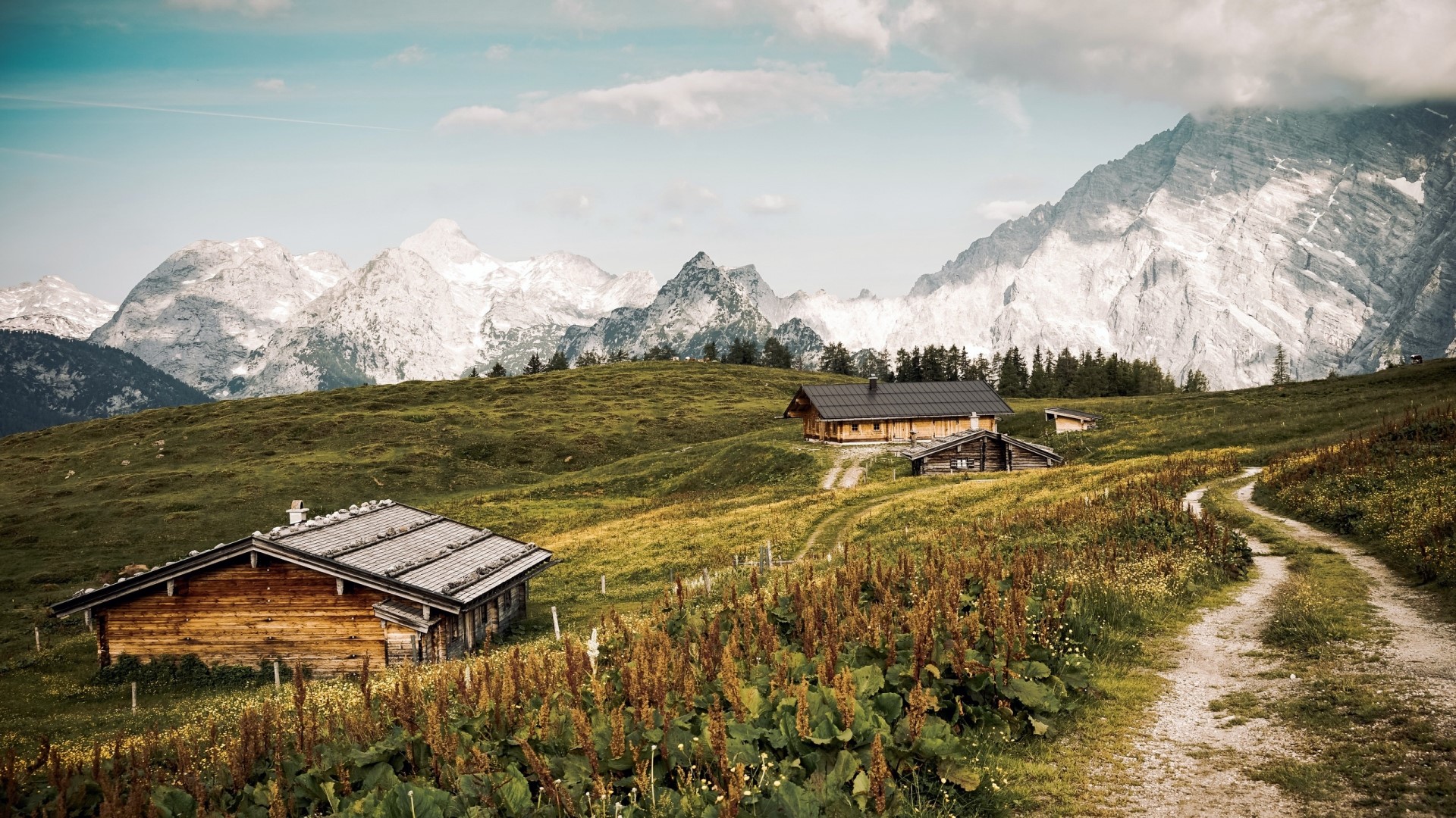 Wooden cabins on a grassy mountain slope with a dirt road HD Wallpaper