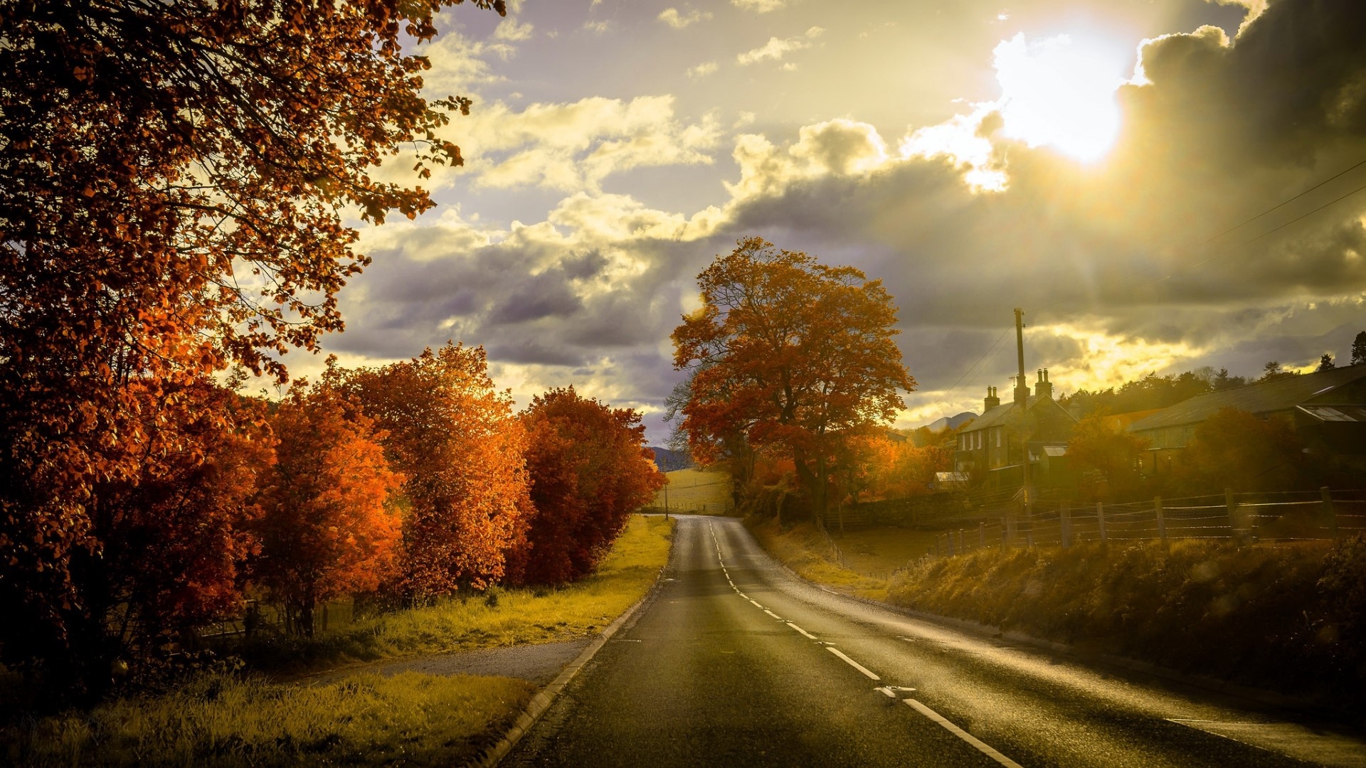 Autumn road with trees and houses HD Wallpaper