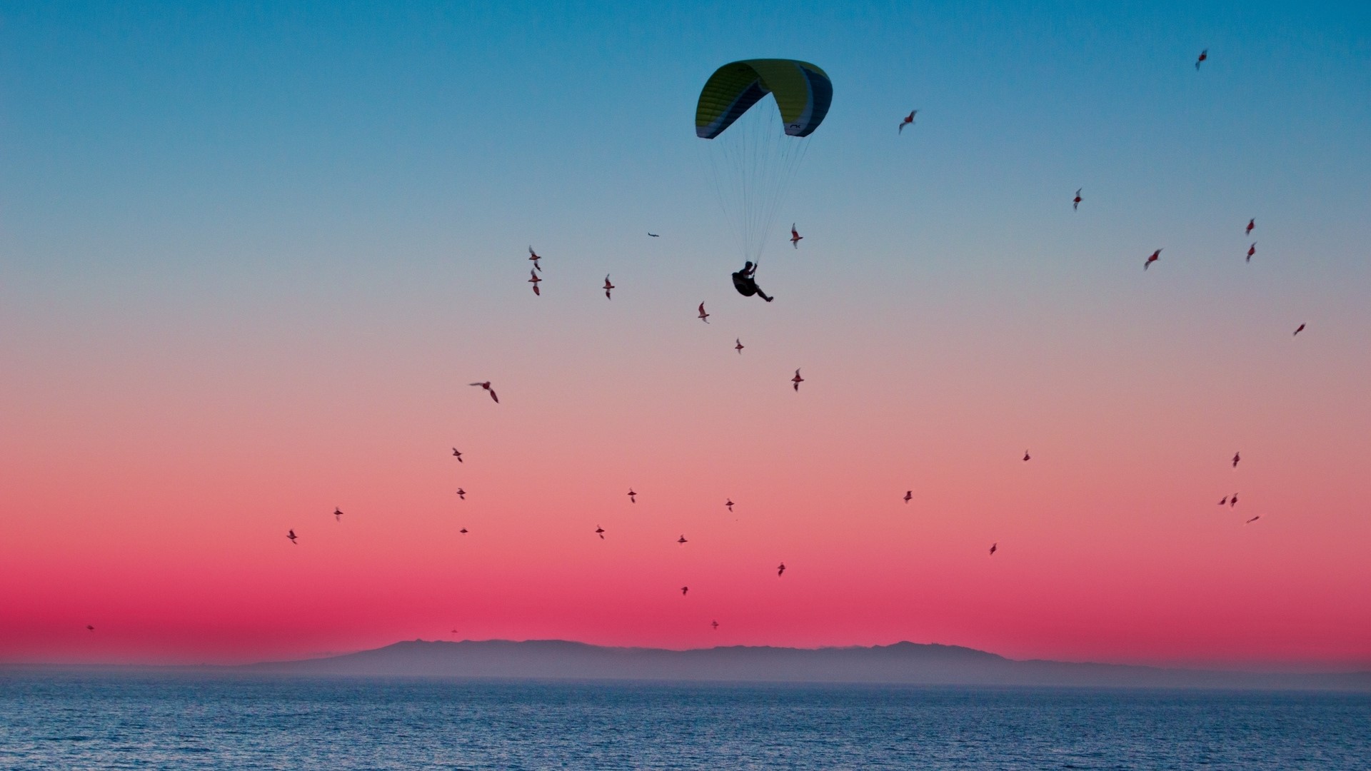 Parachutist flying over the ocean at sunset with birds HD Wallpaper