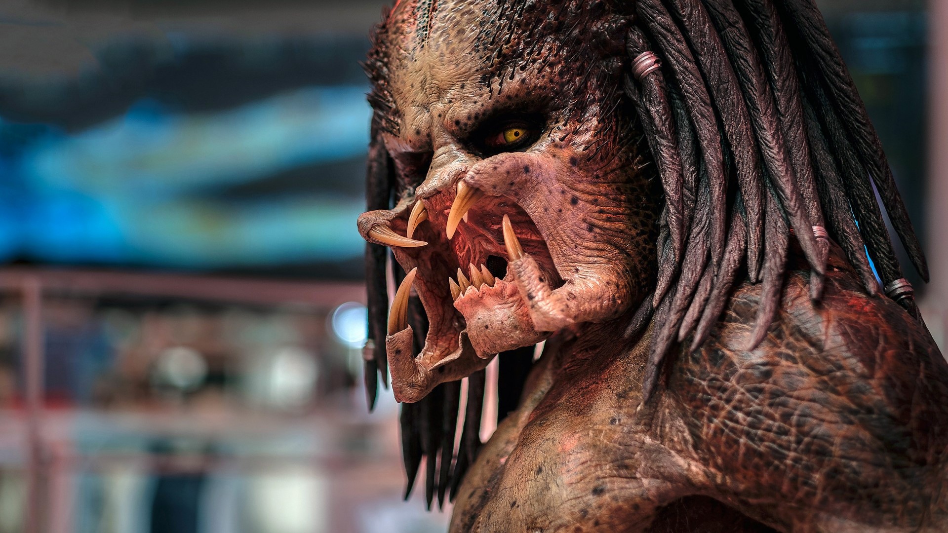 The Predator HD Wallpaper