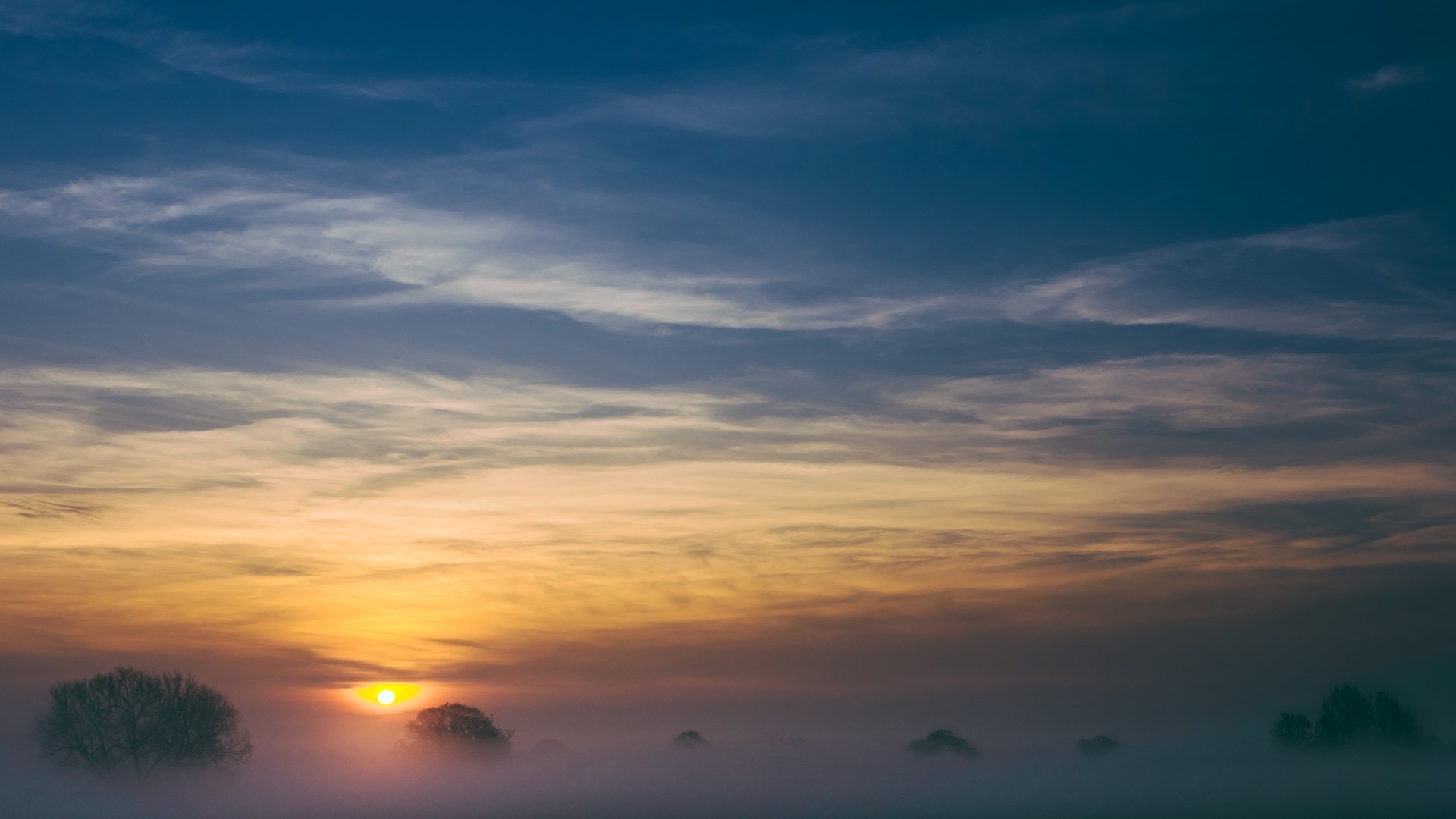 Sunrise over misty fields with trees HD Wallpaper