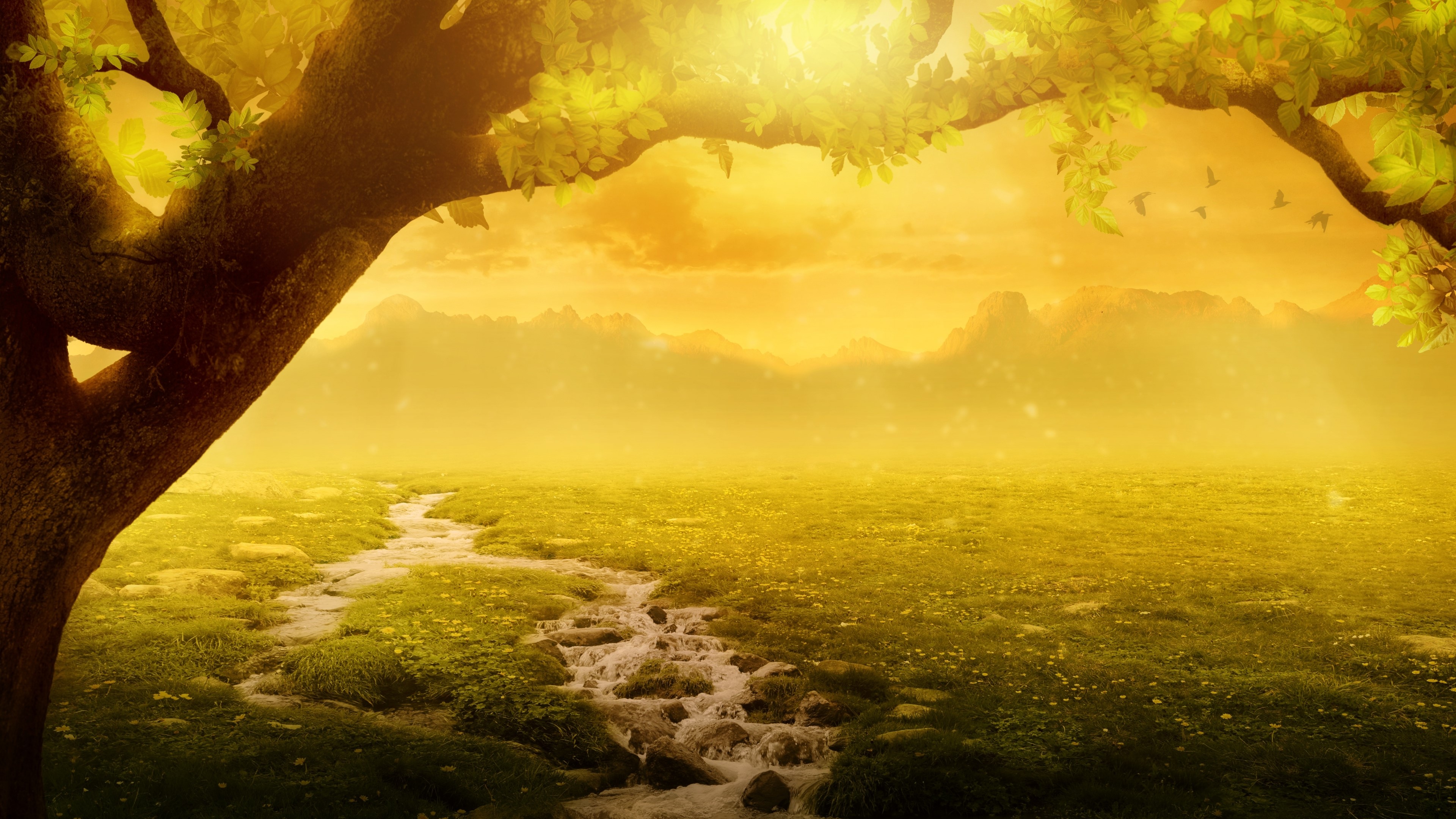 4K Morning Landscape with Stream and Mountains HD Wallpaper