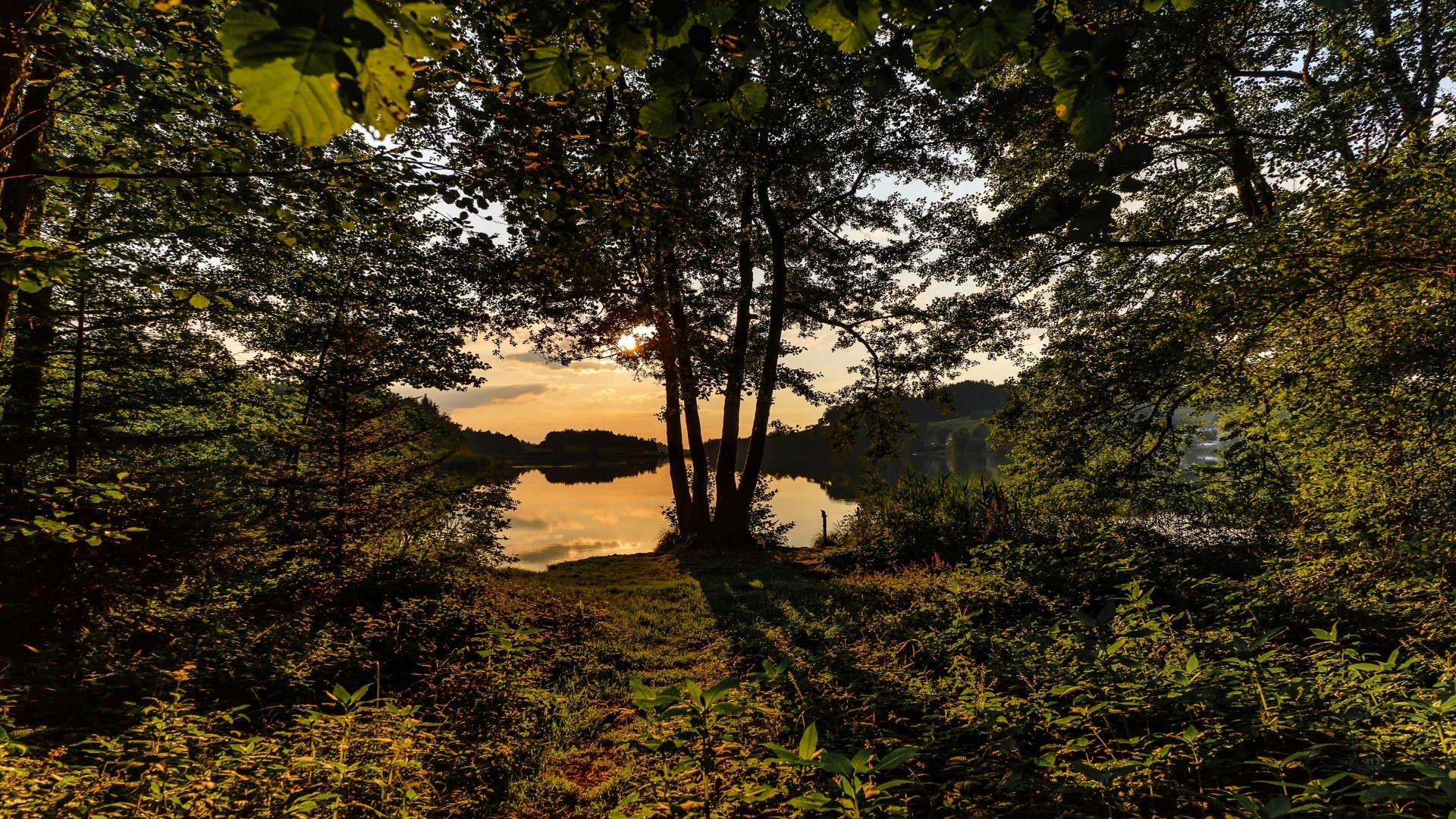 Sunset over a forest lake HD Wallpaper