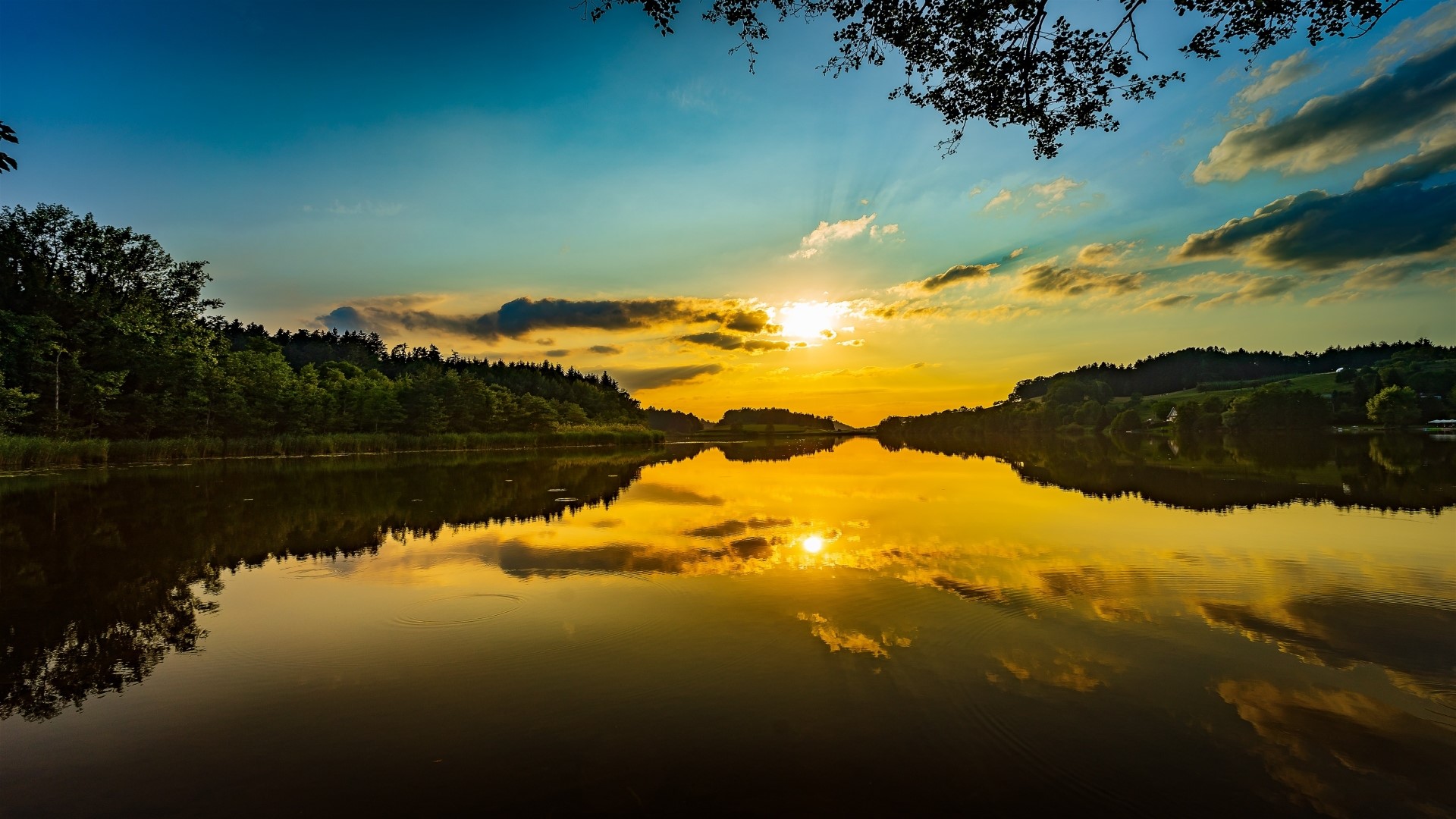 Sunset over a lake with trees and clouds HD Wallpaper