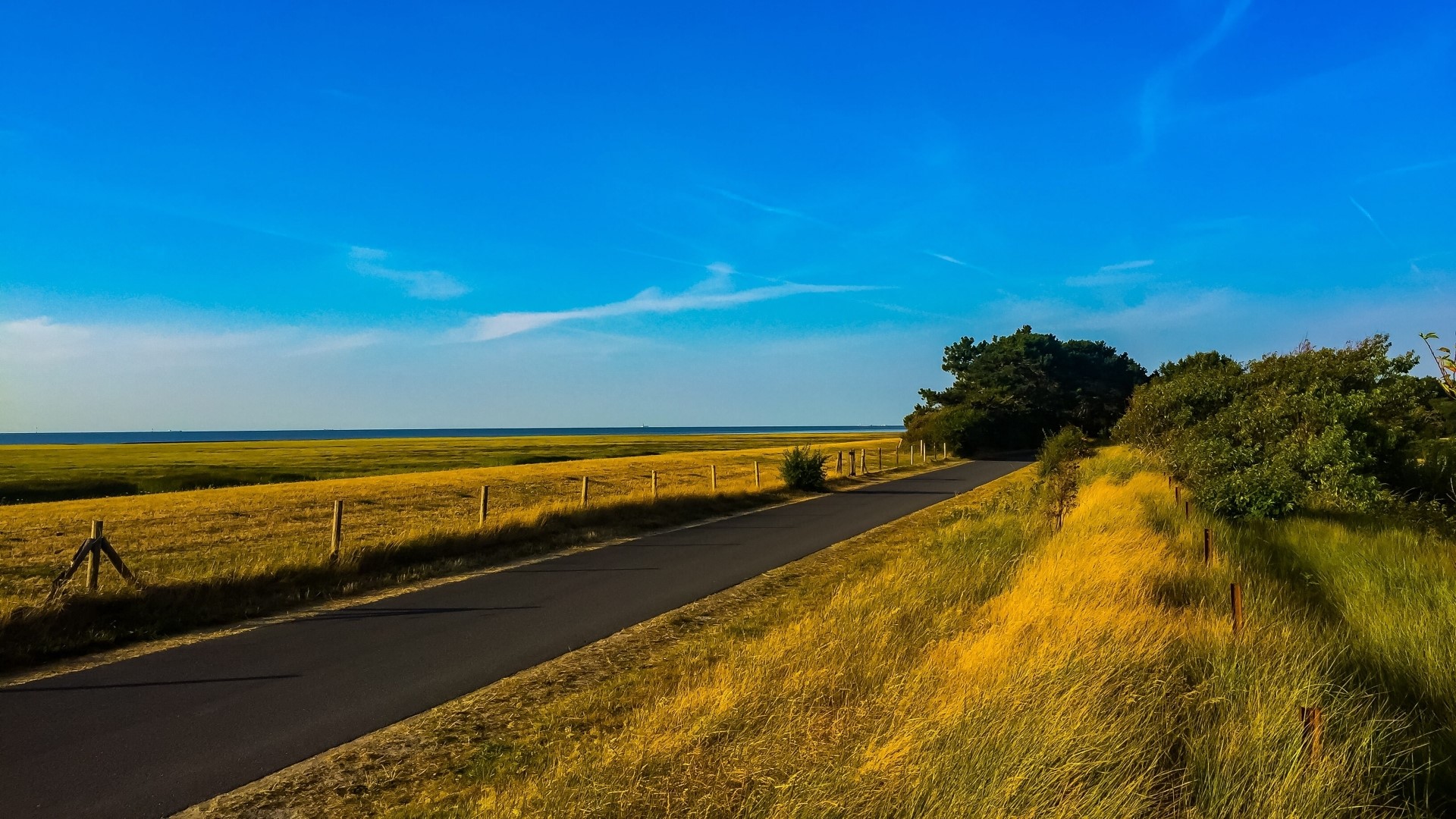 Asphalt road through a grassy field under a blue sky HD Wallpaper