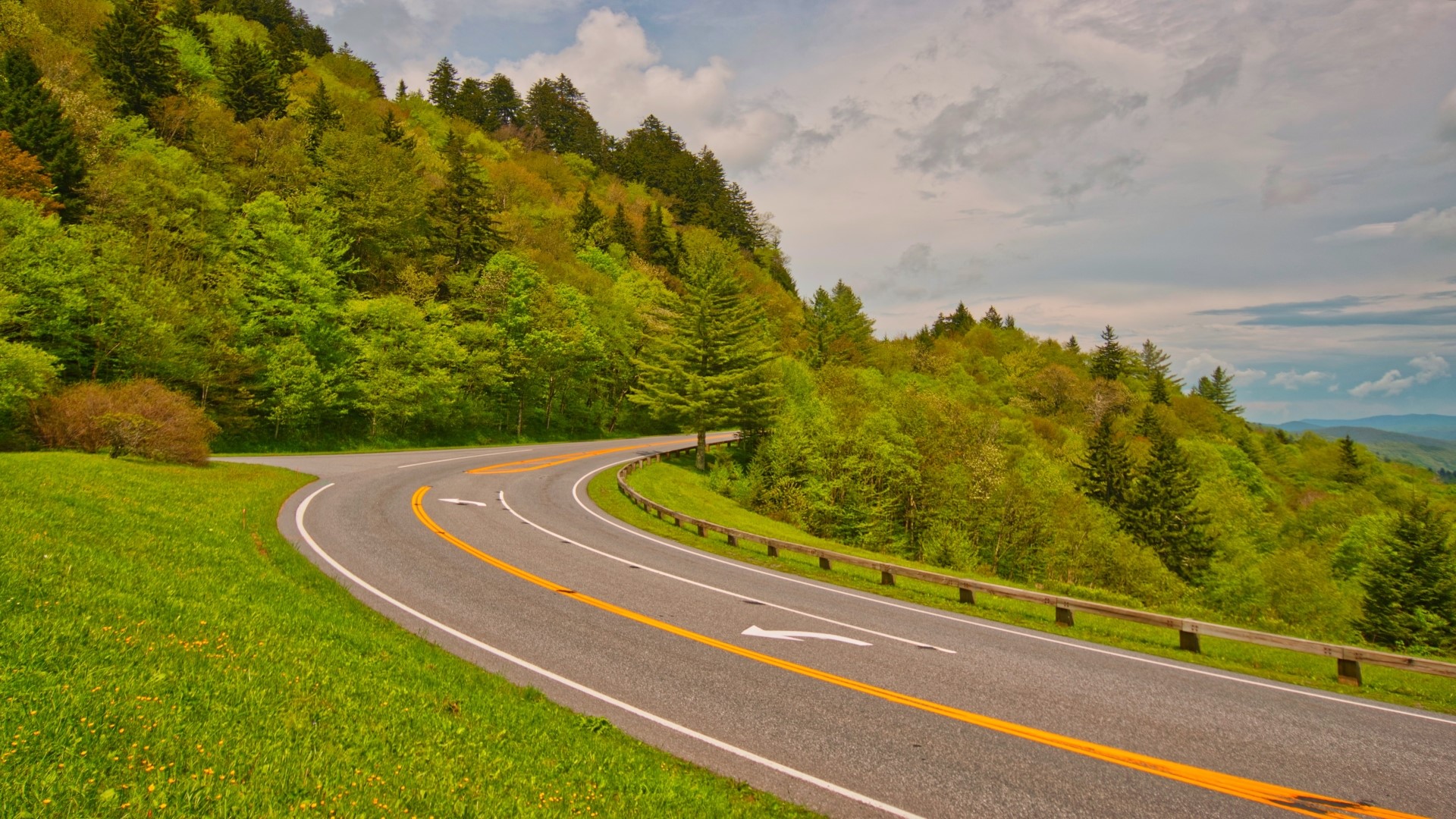 Mountain road with trees and sky HD Wallpaper