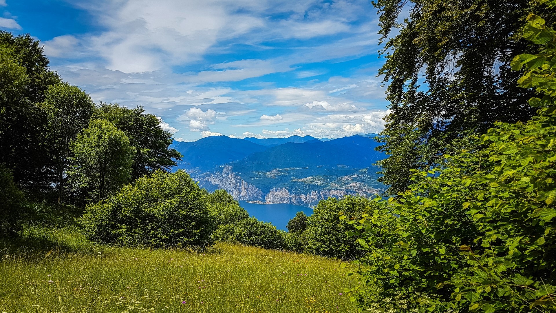 Mountain lake view from a grassy hill with trees HD Wallpaper