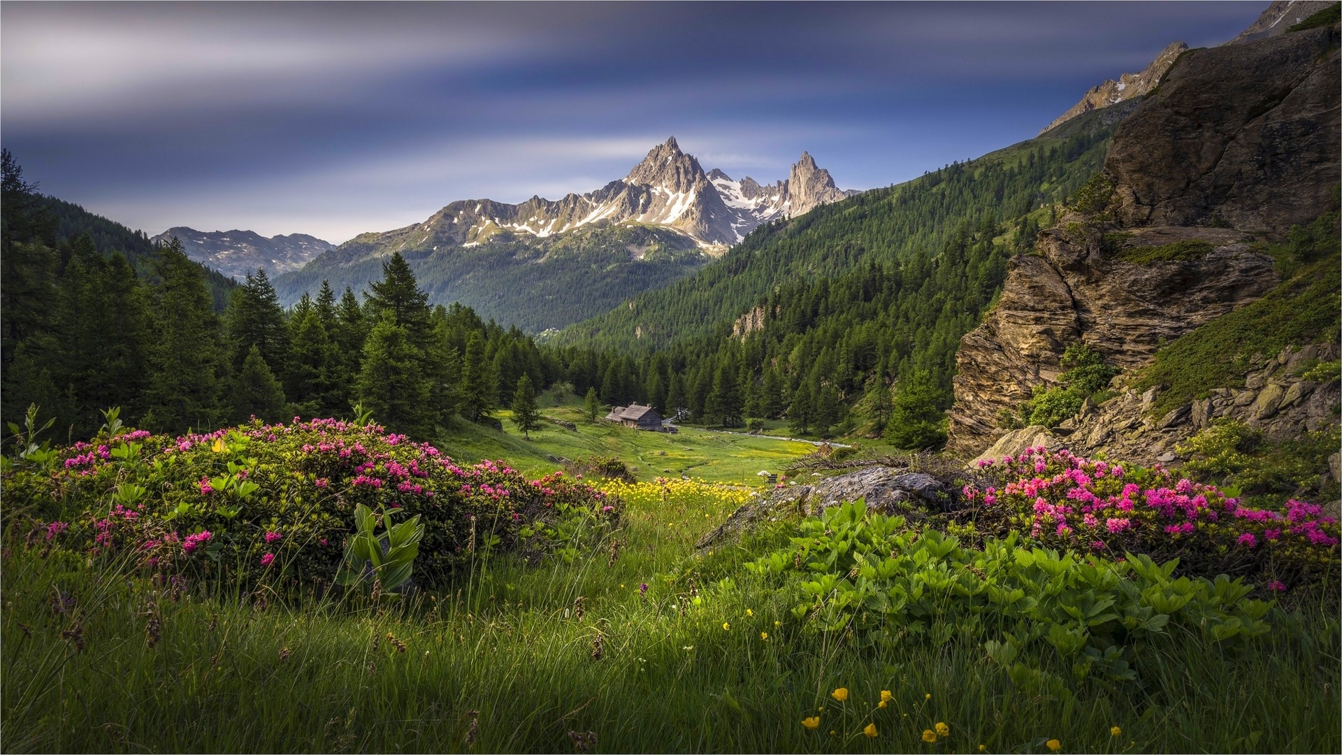 Mountain valley with wildflowers and a cabin HD Wallpaper
