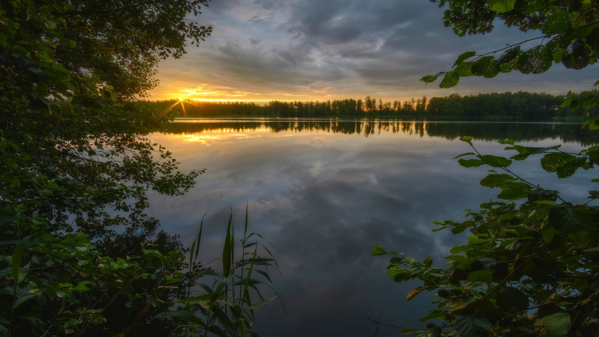 Sunset over a calm lake with trees and clouds HD Wallpaper