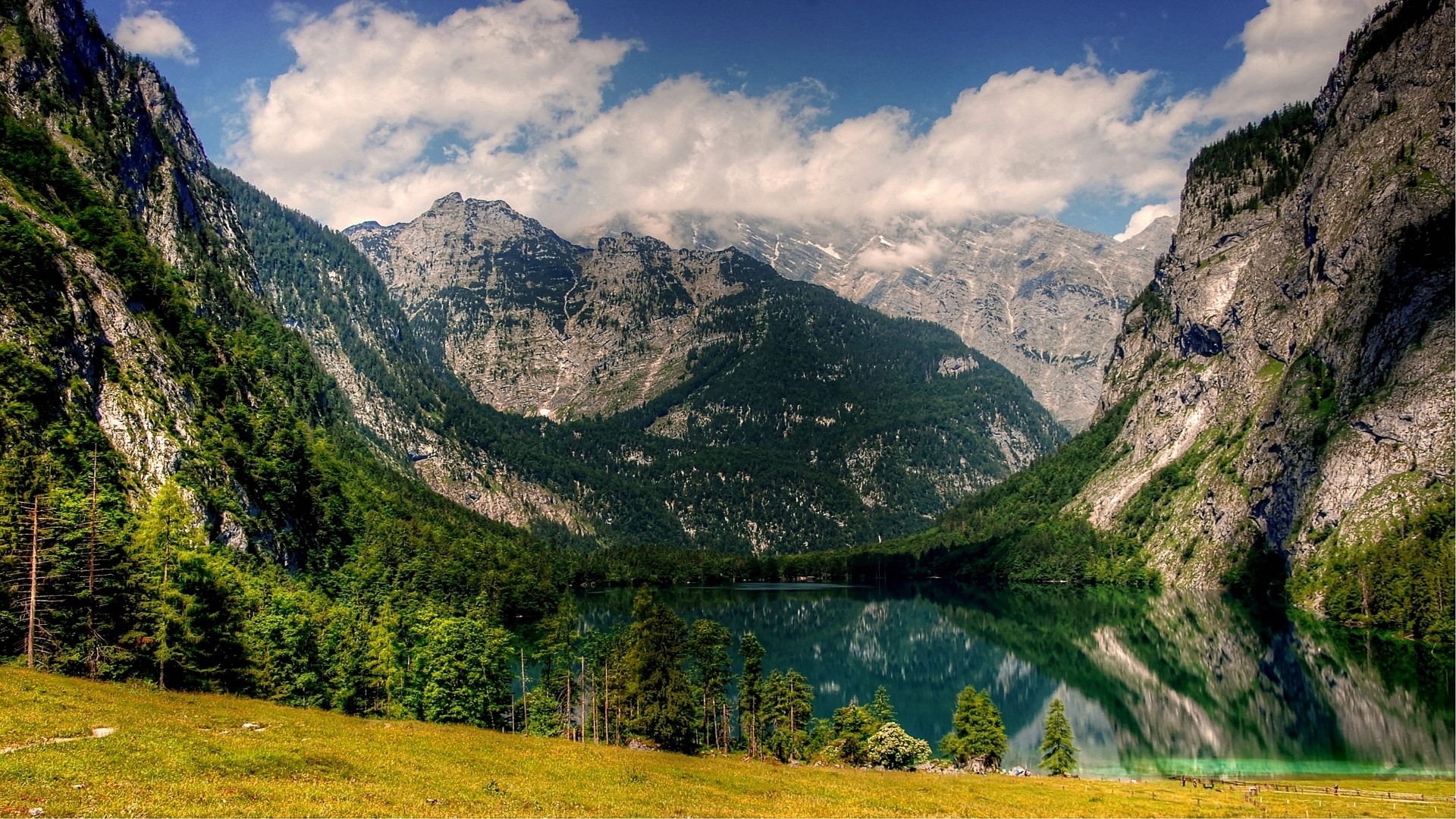 Lake in the mountains with forest and grass HD Wallpaper