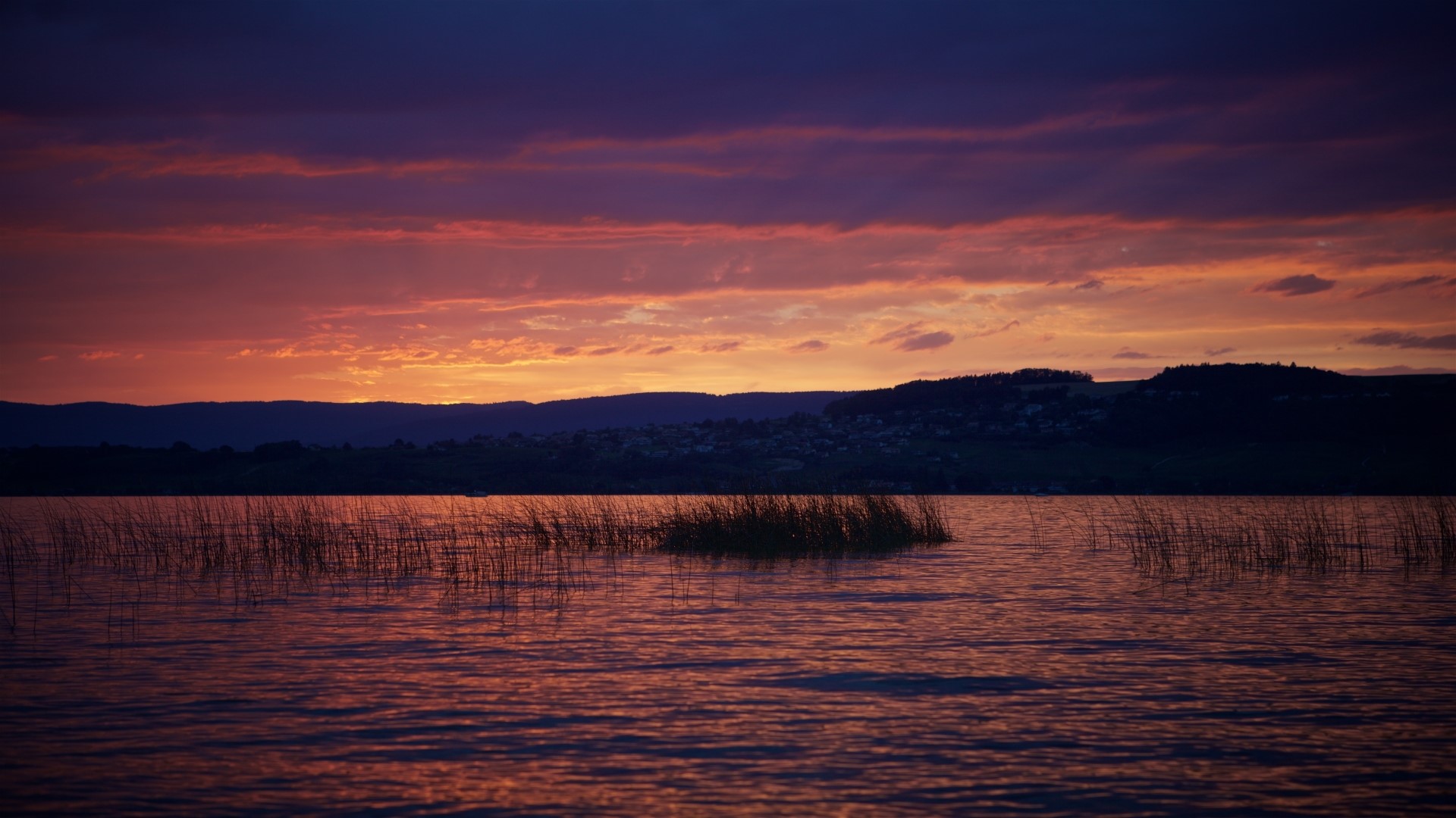 Sunset over a lake with reeds HD Wallpaper