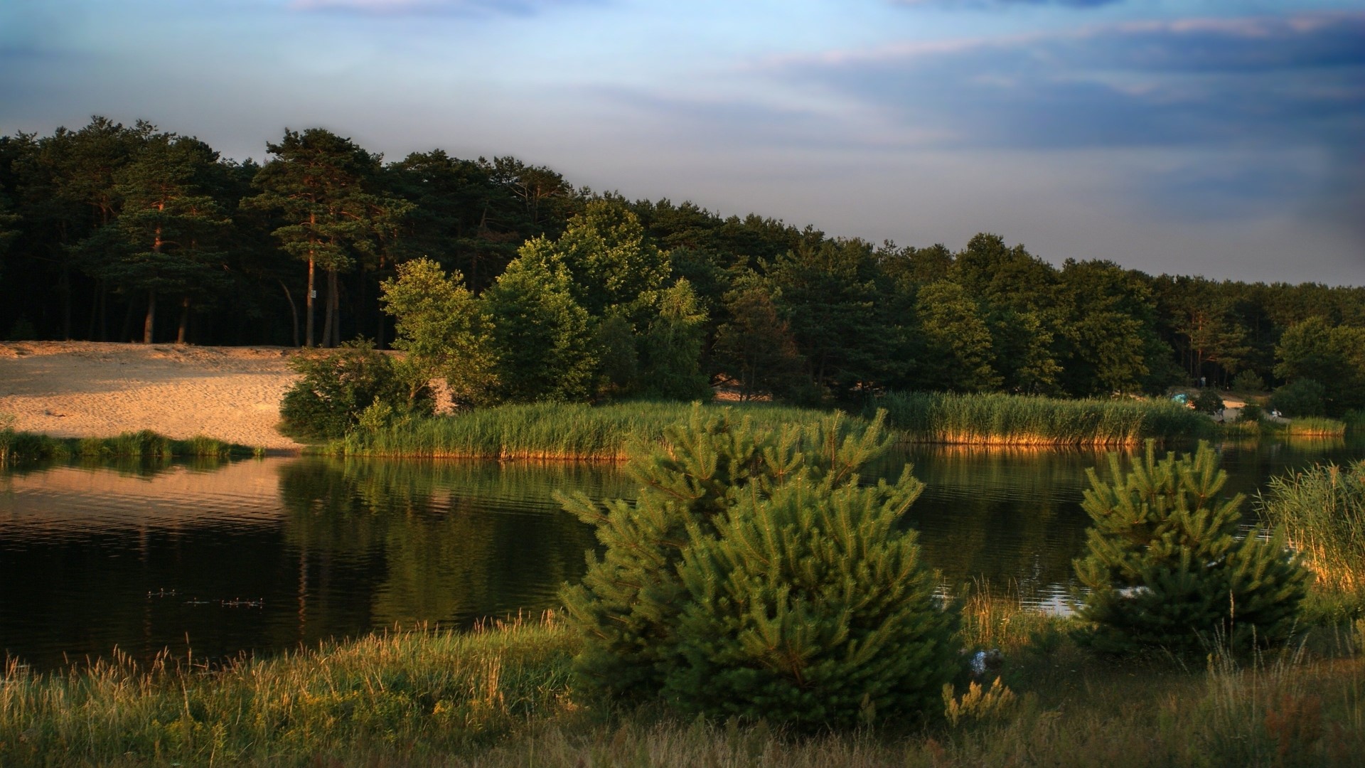 Sandy shore and forest by a lake at sunset HD Wallpaper