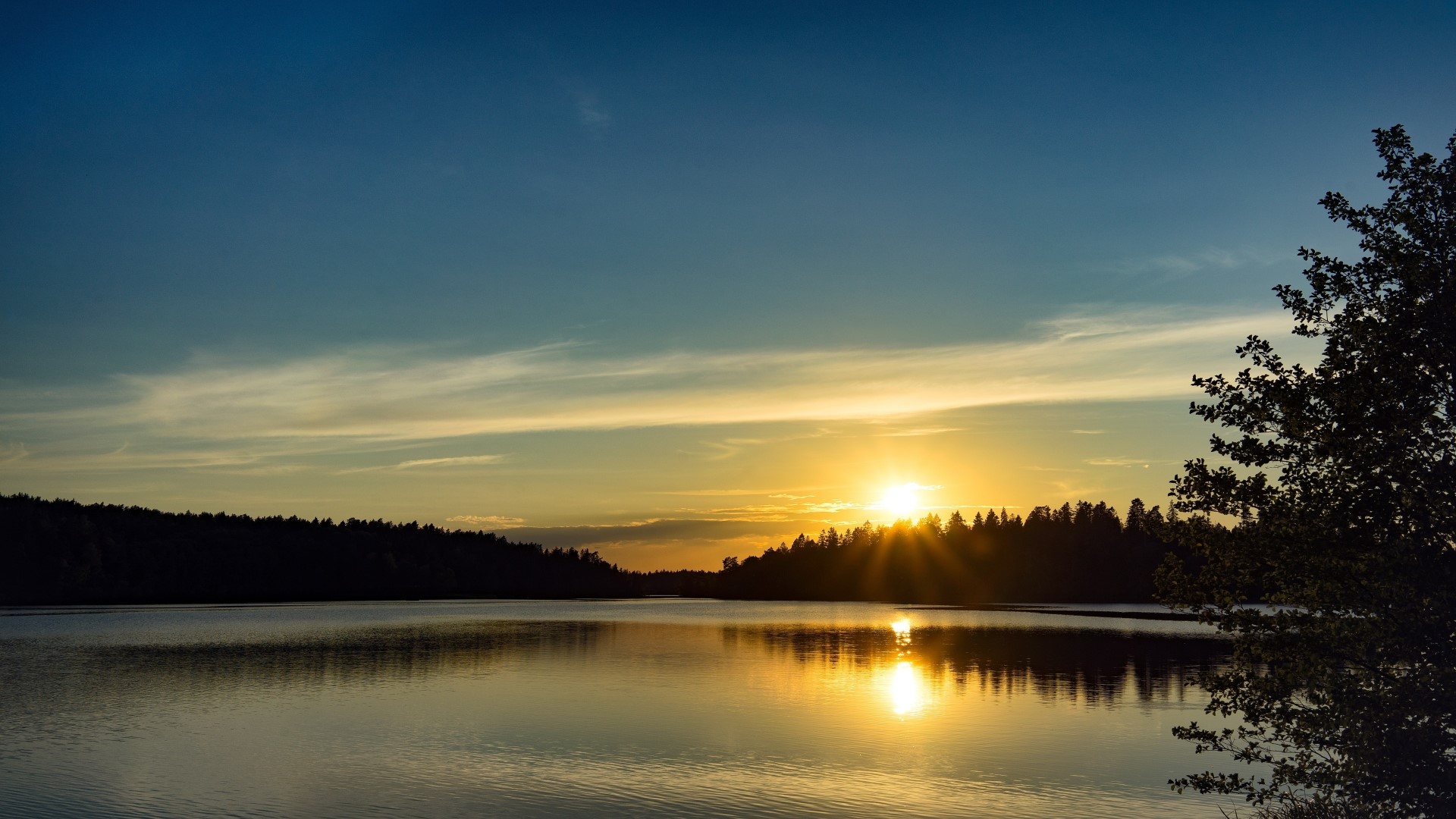 Sunset over a lake with a forest and tree HD Wallpaper
