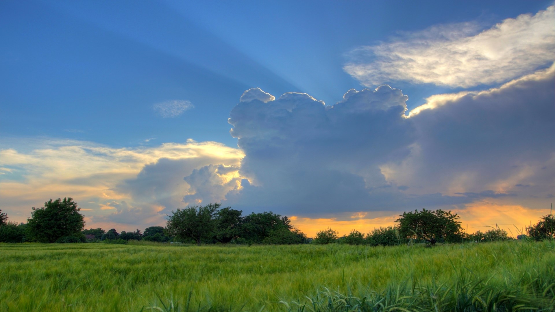 Sunbeams through clouds over a green field HD Wallpaper