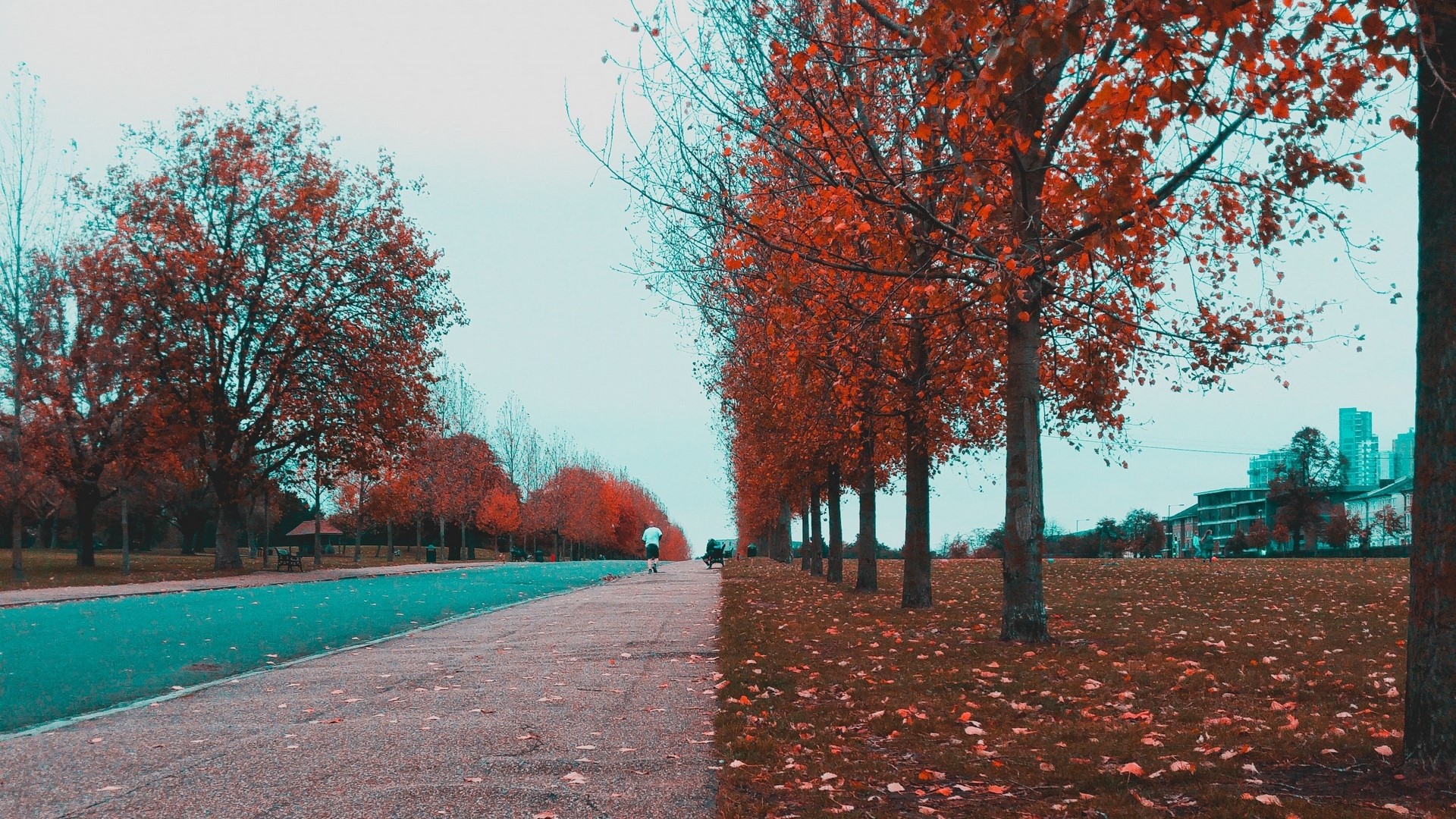 Autumn park with trees and path HD Wallpaper