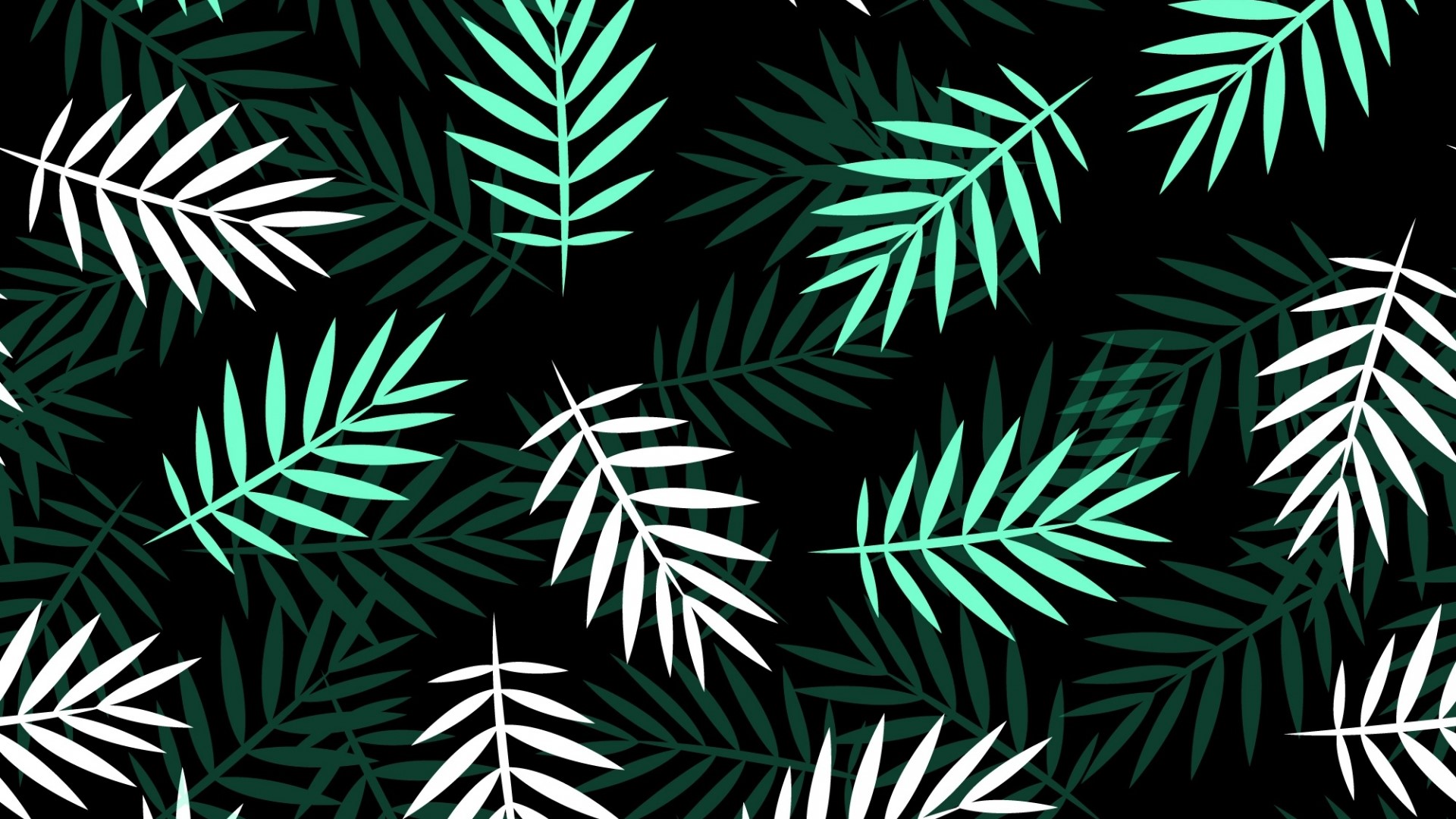 White and Teal Palm Leaves on Black Background HD Wallpaper
