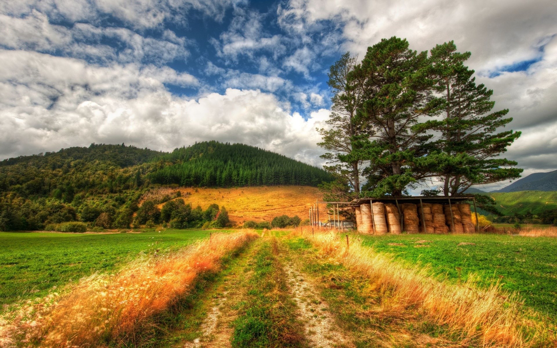 Rural landscape with hay bales and trees HD Wallpaper