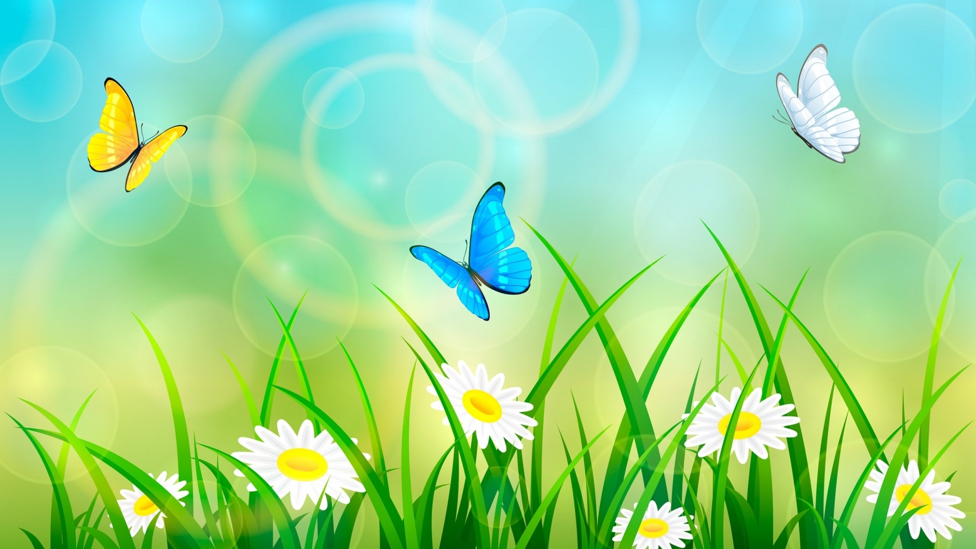 Butterflies flying over grass and flowers HD Wallpaper
