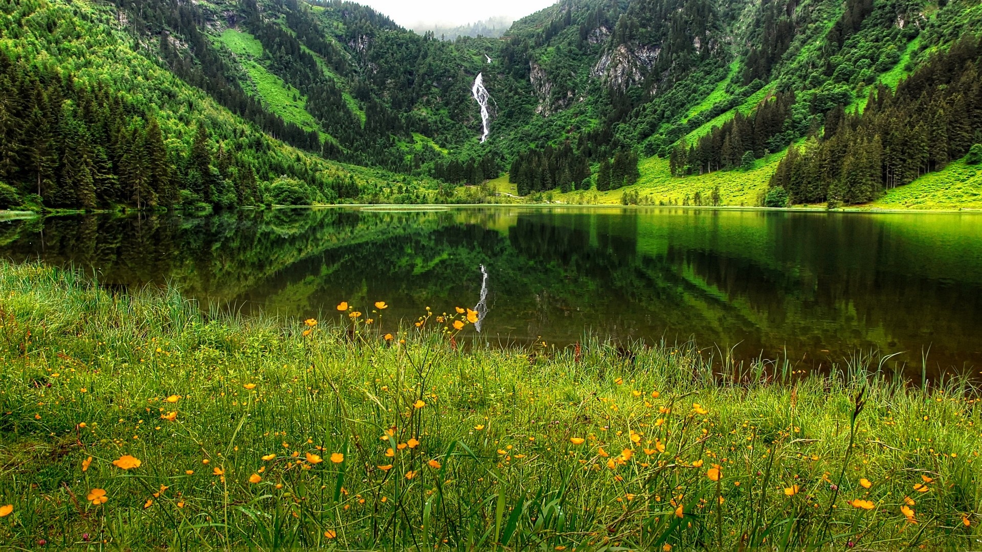 Waterfall reflecting in a mountain lake with wildflowers HD Wallpaper