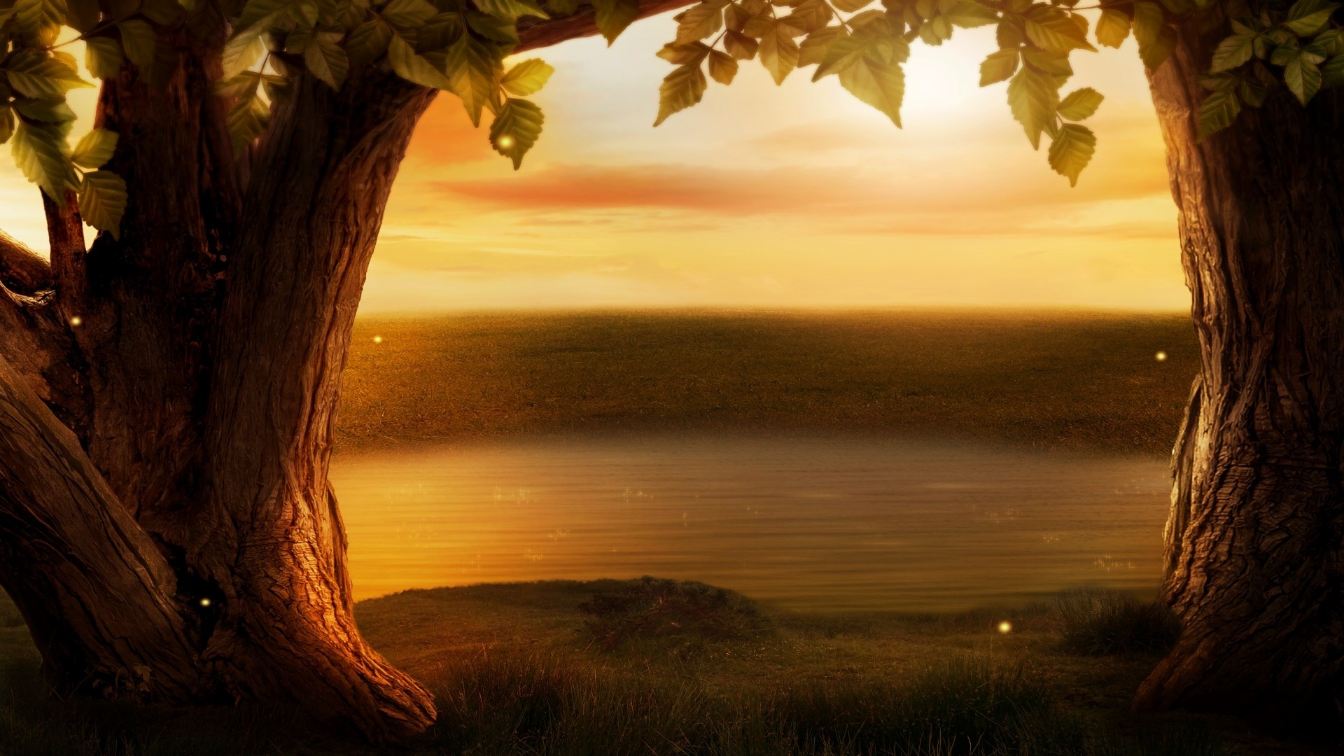 Magical forest clearing at sunset with fireflies HD Wallpaper