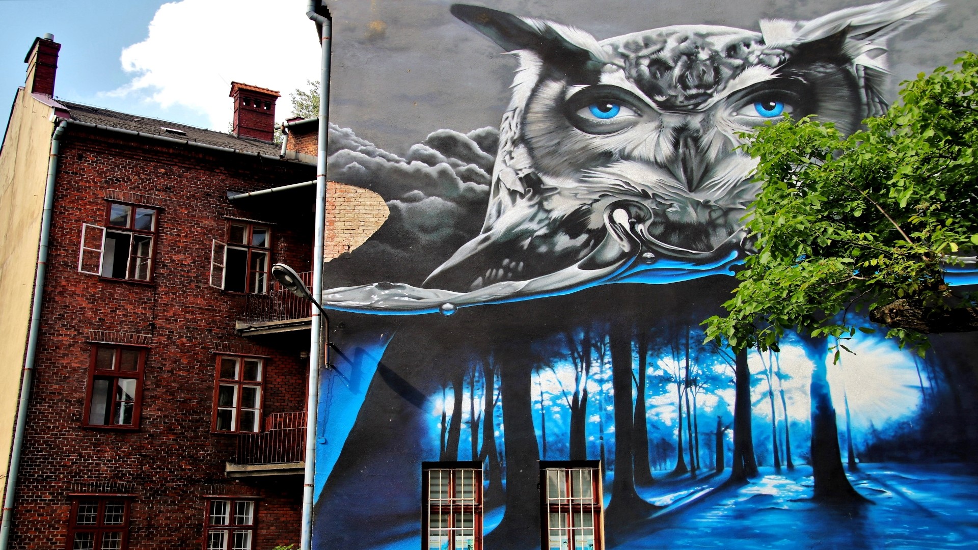 Graffiti of an owl over a forest scene on a building HD Wallpaper
