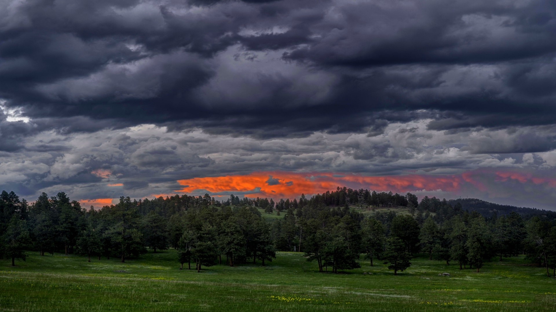 Stormy sky over a forest and meadow HD Wallpaper