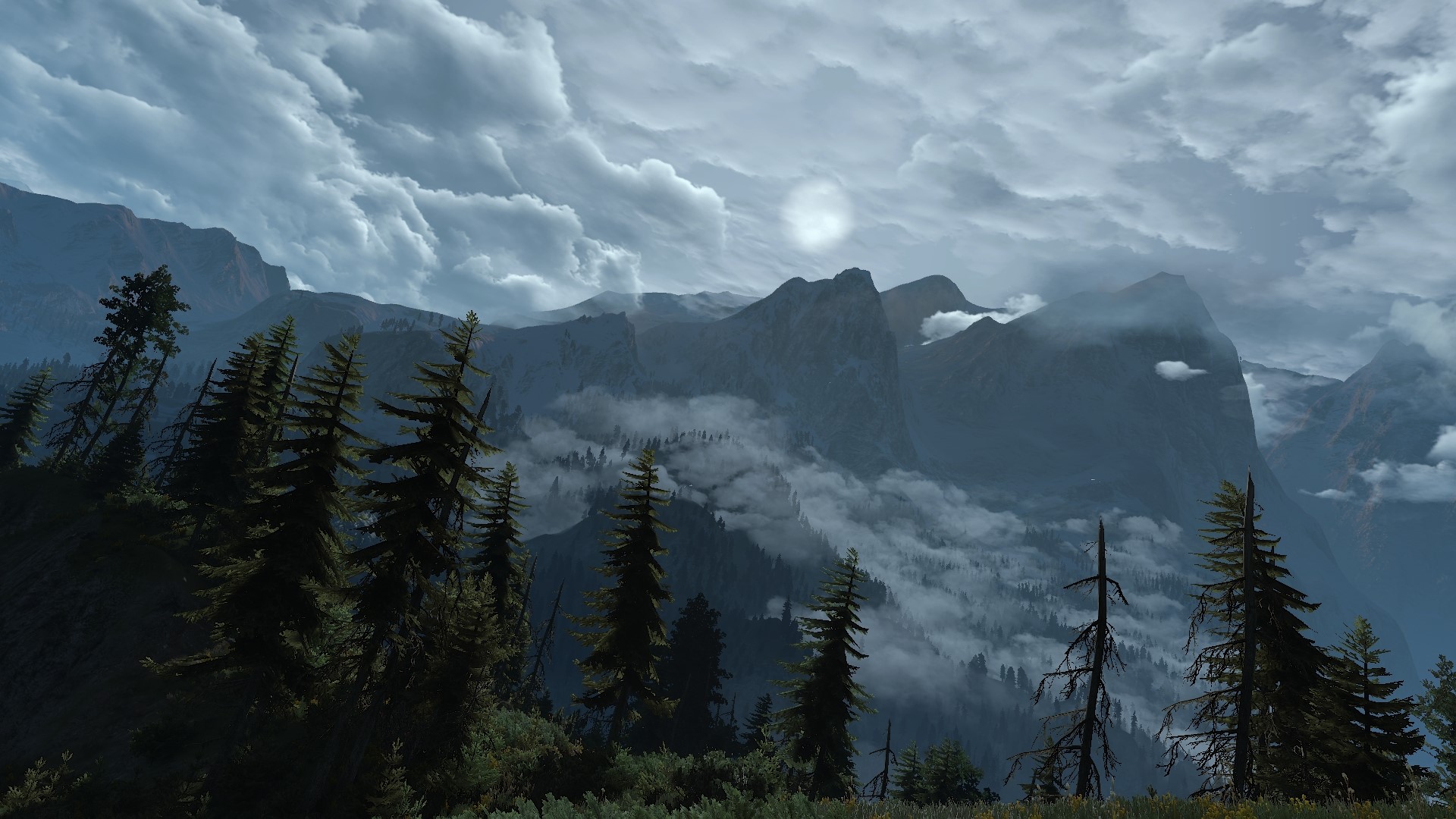 The Witcher 3: Wild Hunt mountains and trees HD Wallpaper
