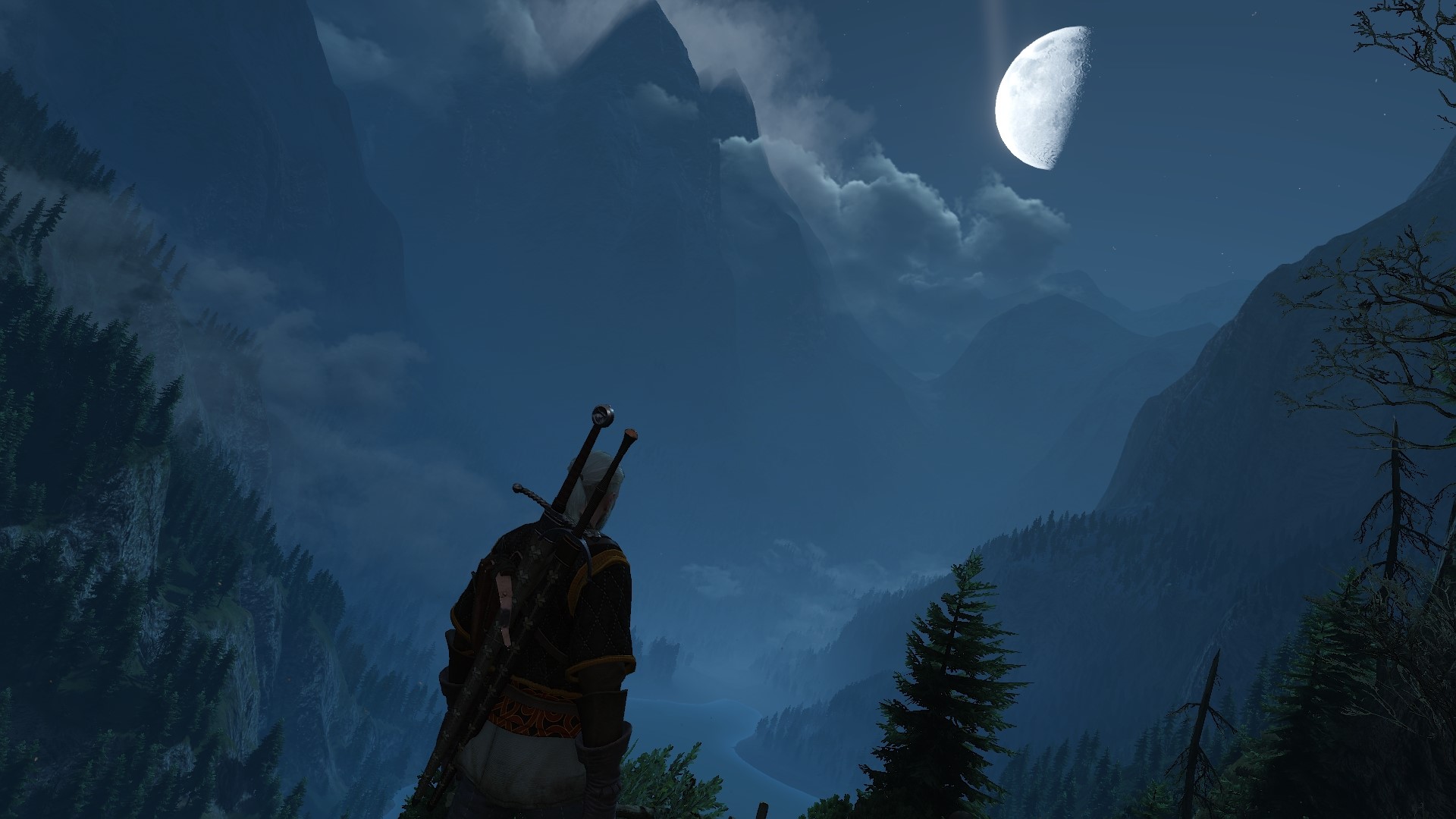 Geralt of Rivia from The Witcher 3 under the moon HD Wallpaper