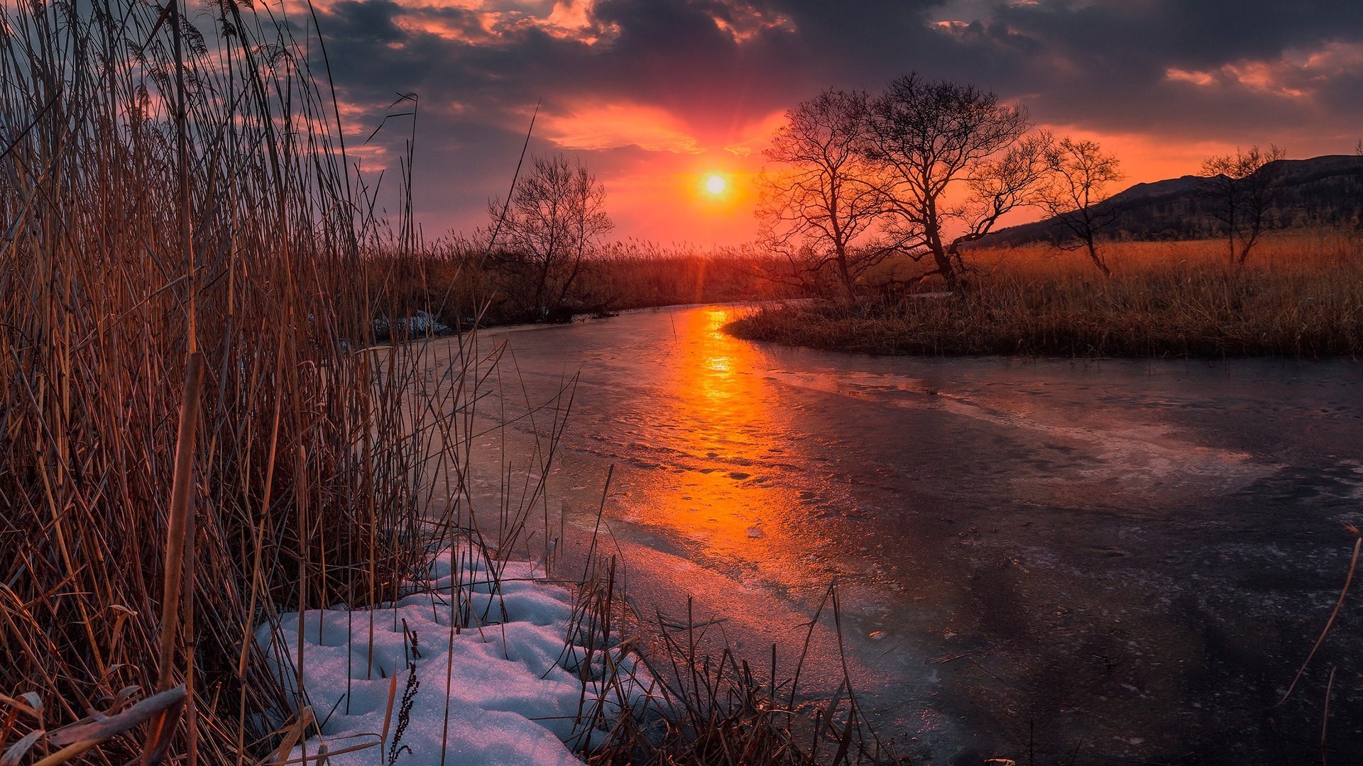 Sunset over frozen river with reeds in Primorsky Krai HD Wallpaper