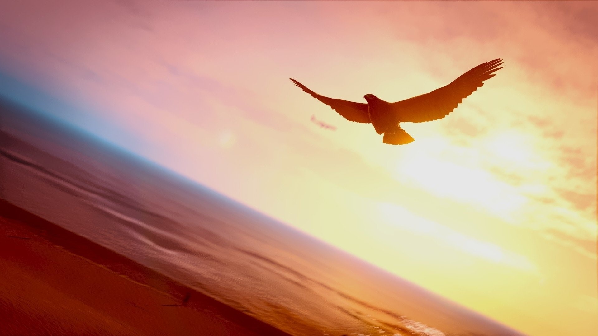 Eagle flying over ocean at sunset HD Wallpaper